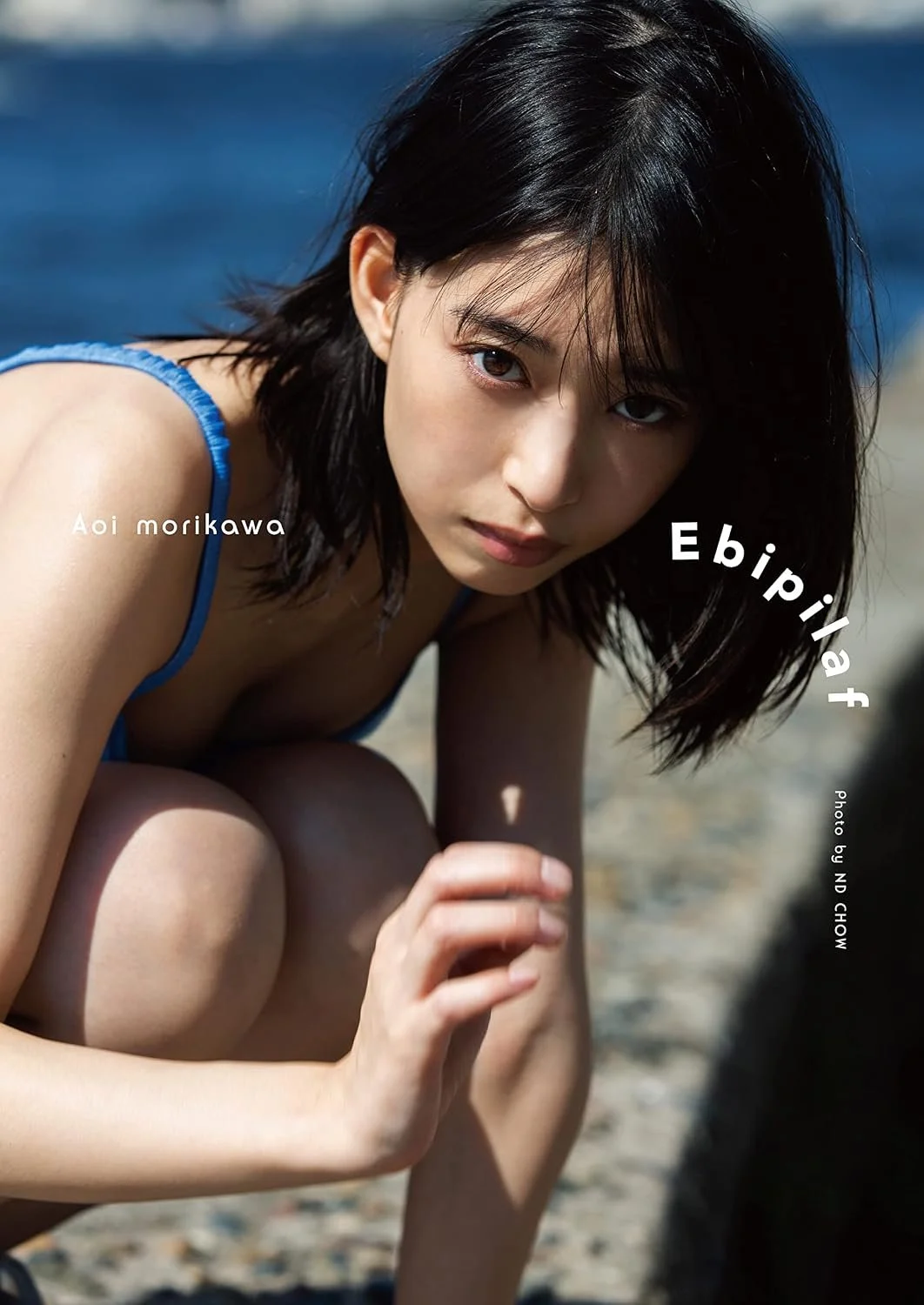 AOI MORIKAWA/ EBIPILAF