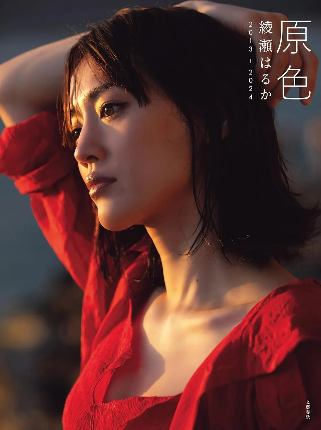 Haruka AYASE/ 2013-2024
