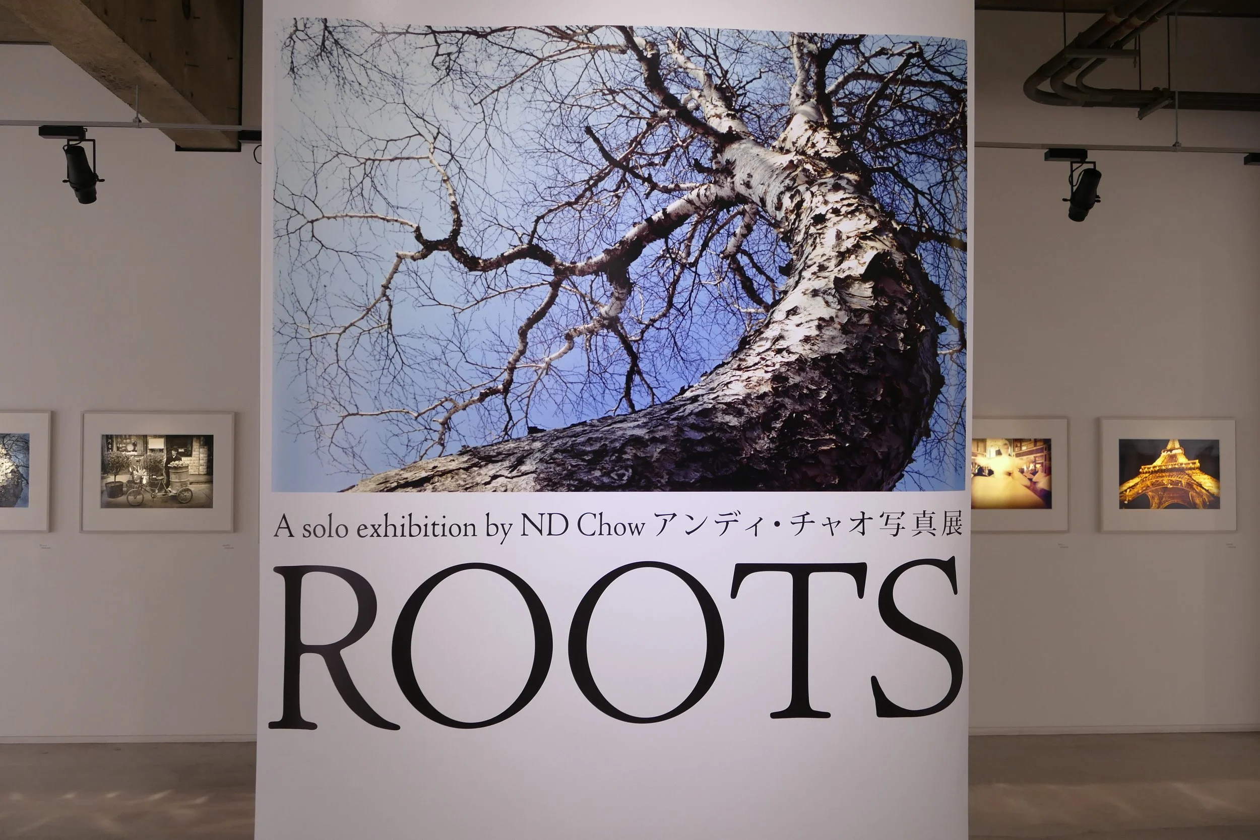 ROOTS TOKYO, 2014
