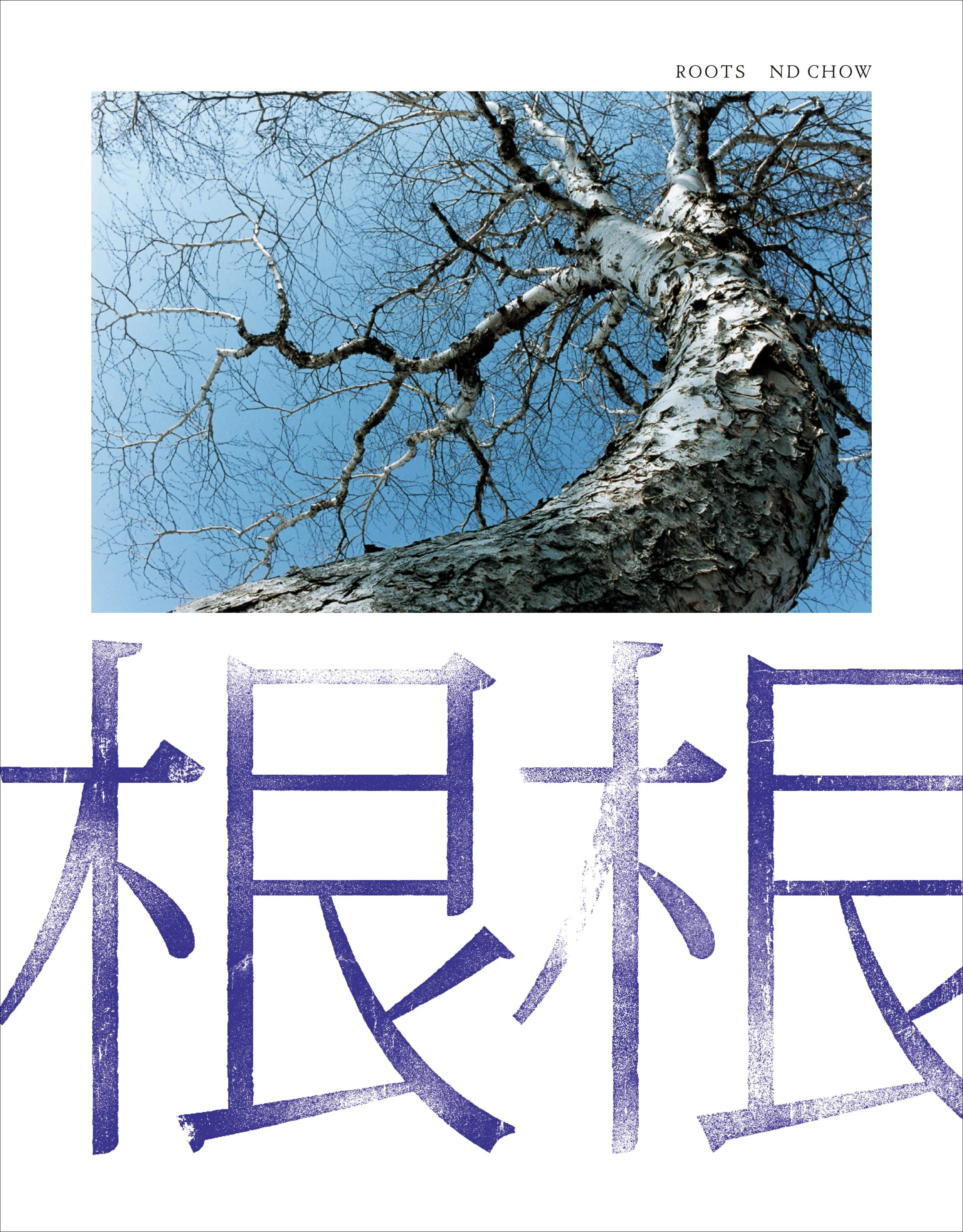 ROOTS