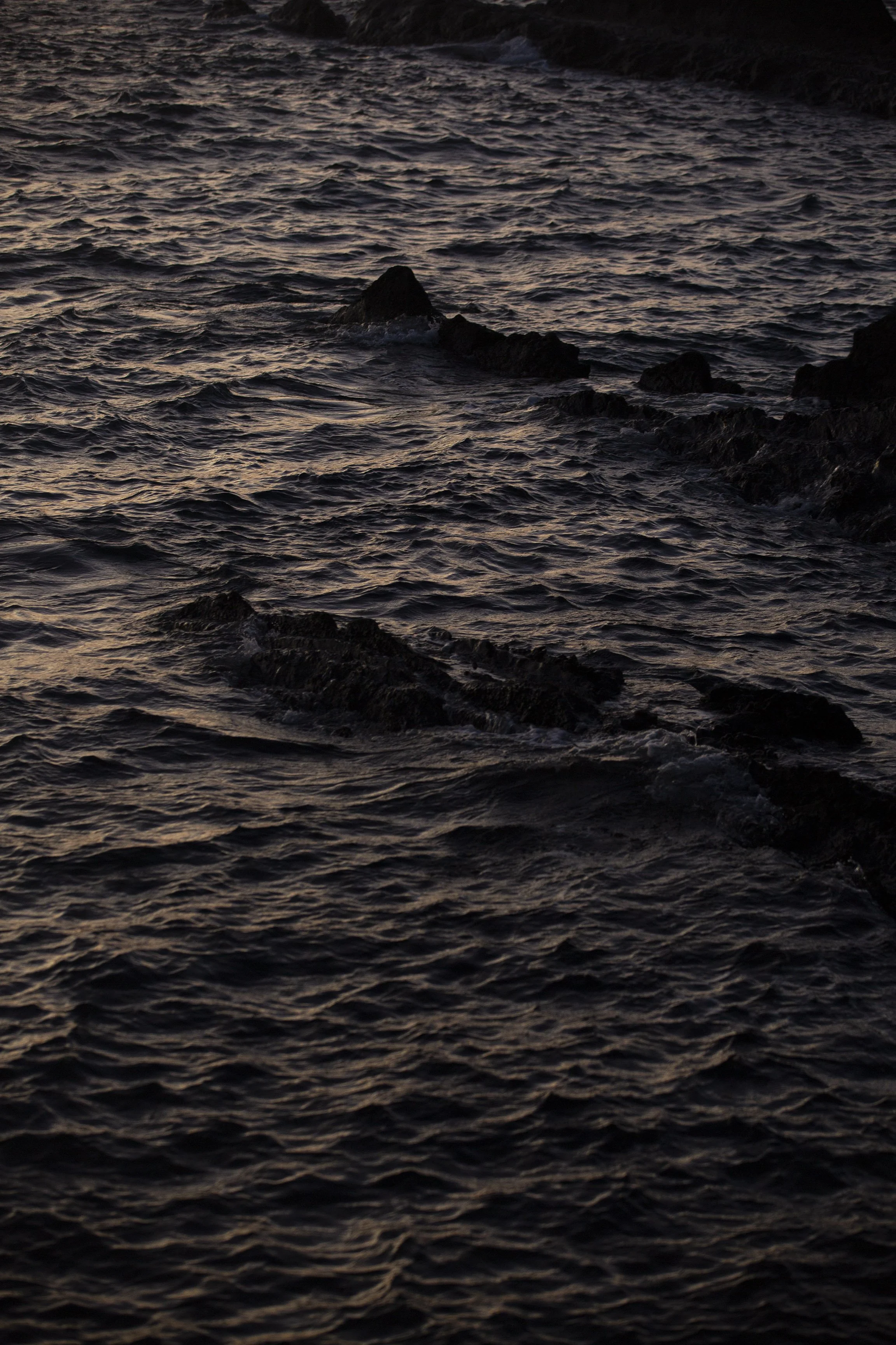 _D1A4544.jpg