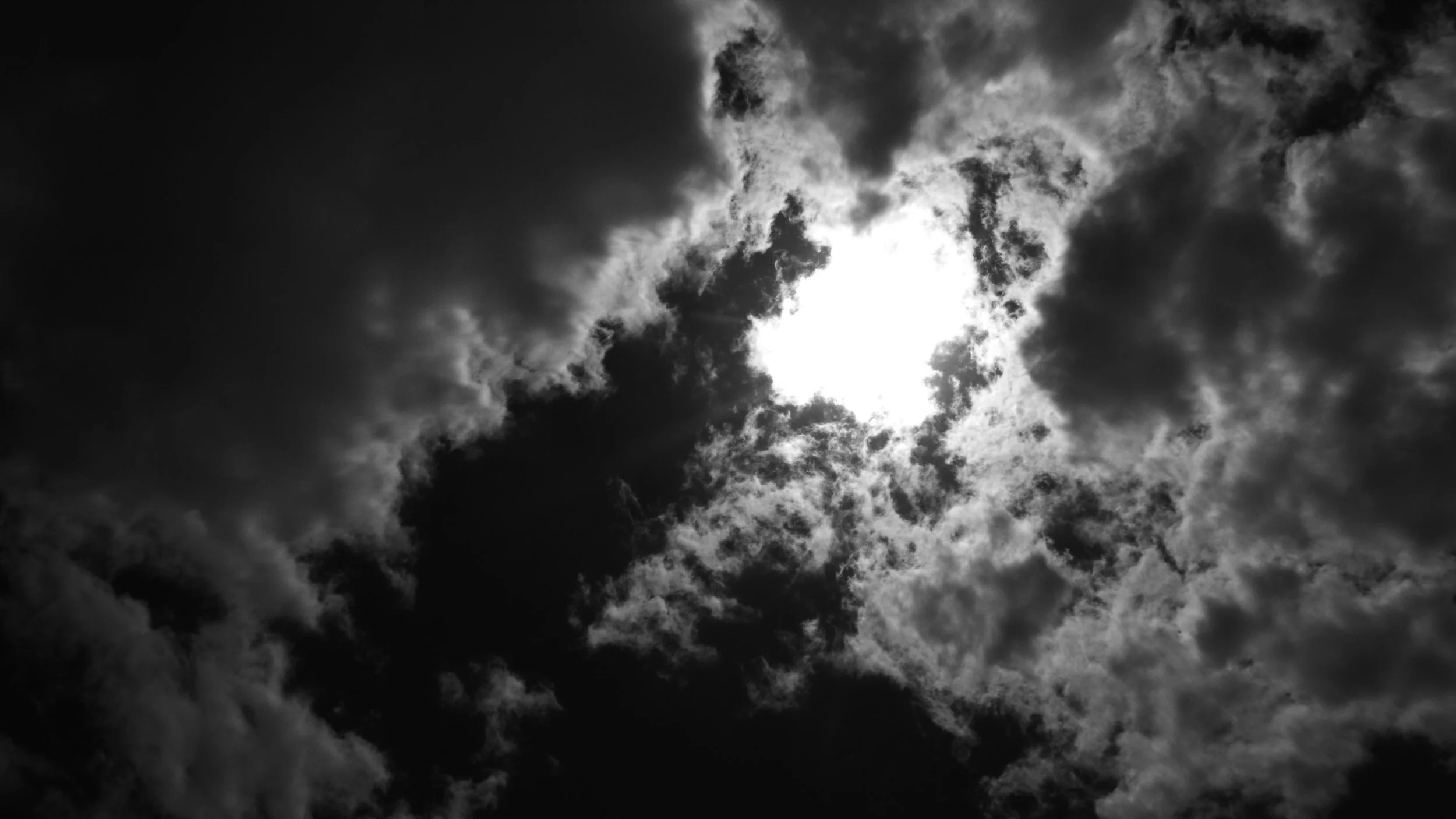 L1030877.jpg