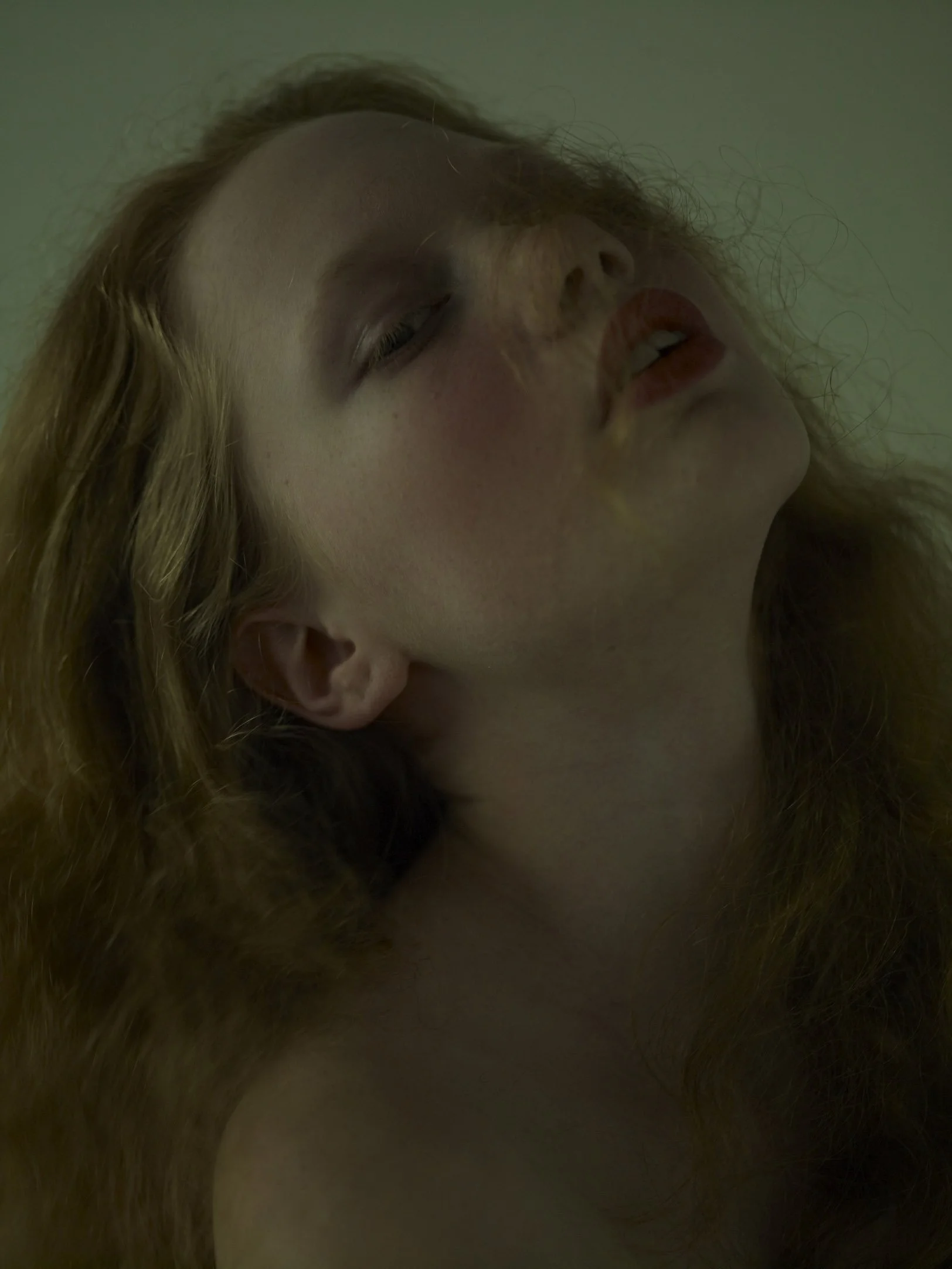 cut02-370.jpg