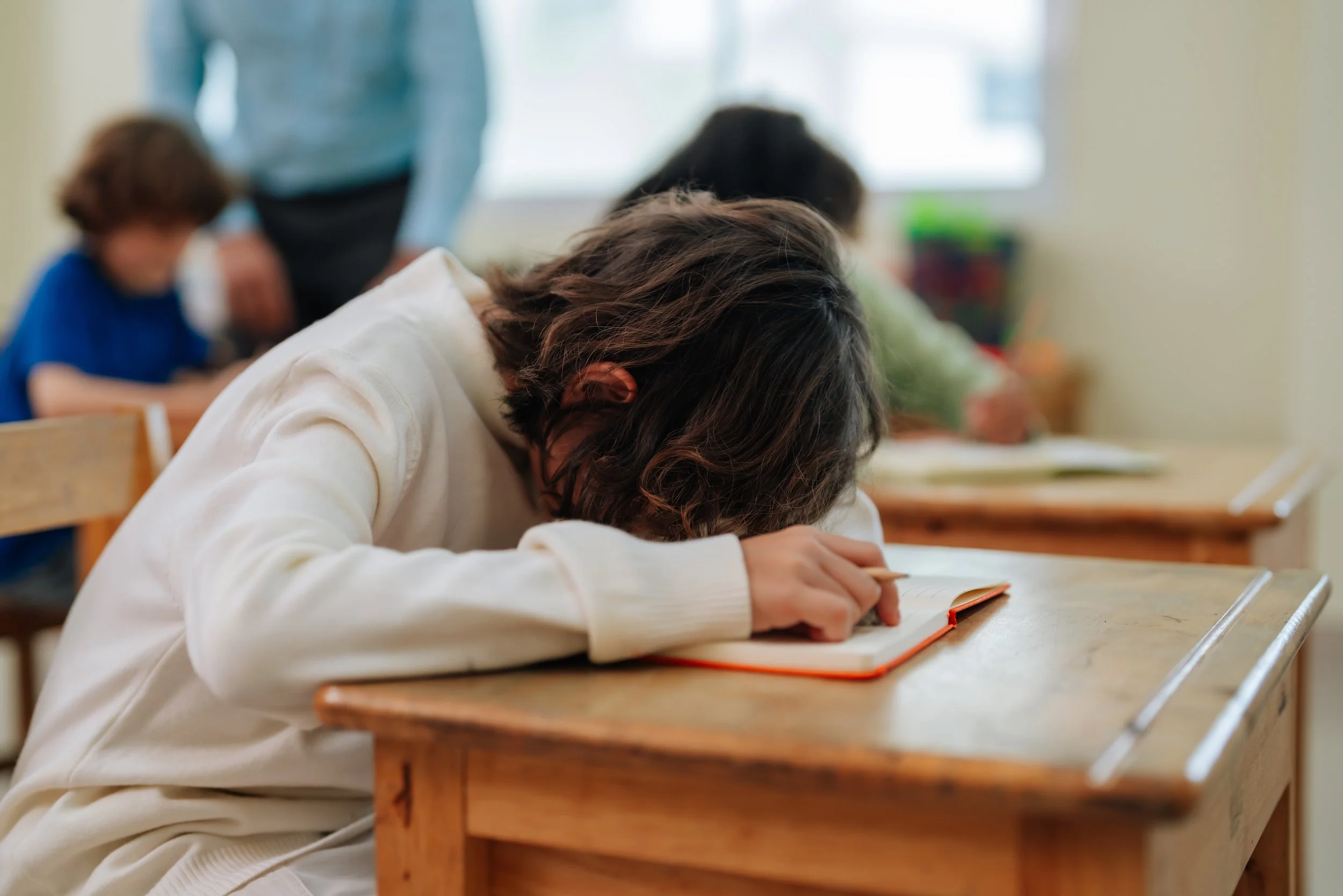 Ideas for Working with a Student in Shutdown or Dorsal State