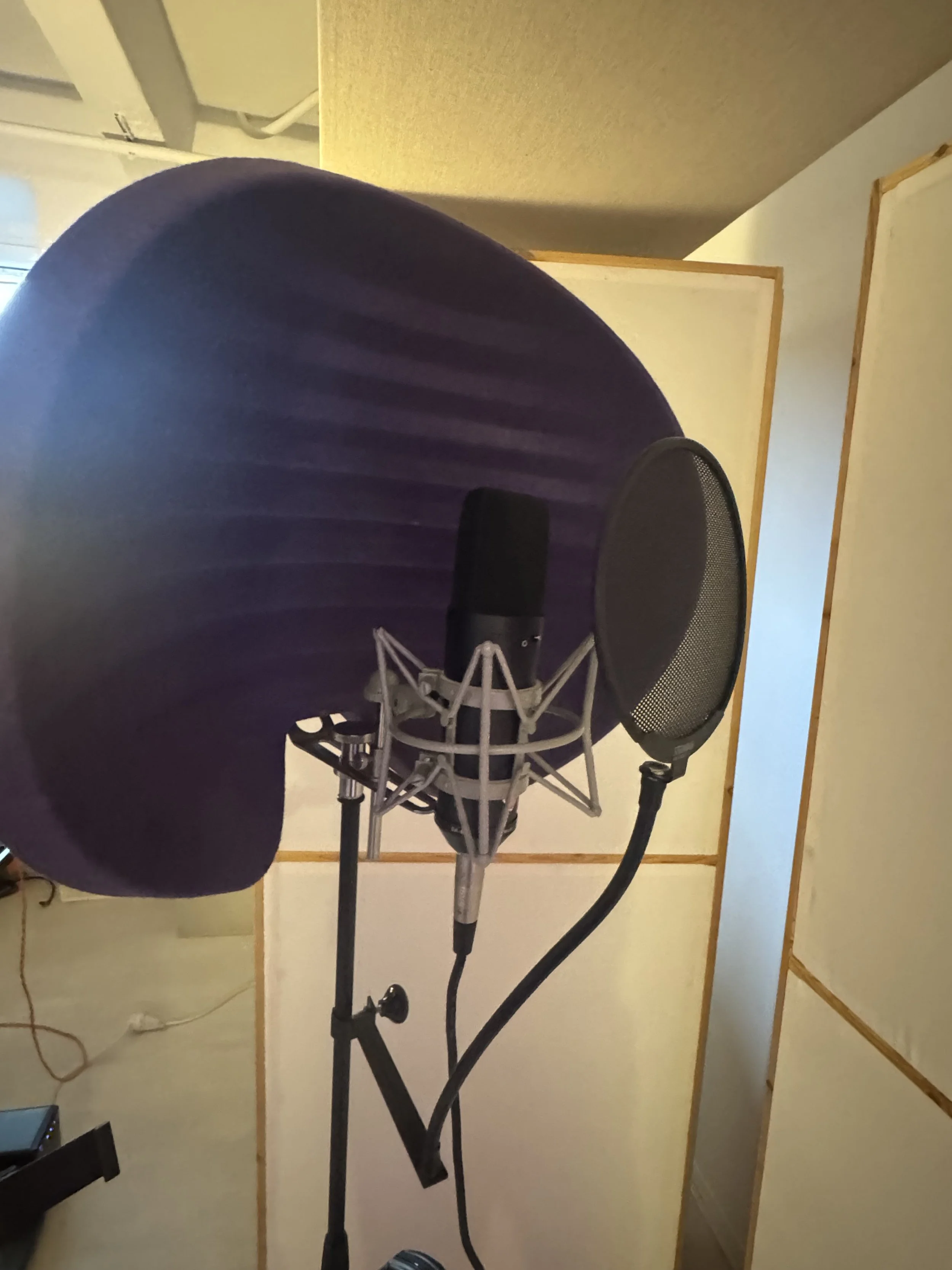 Professional vocal recording microphone setup at City Lock Studio in Berlin.