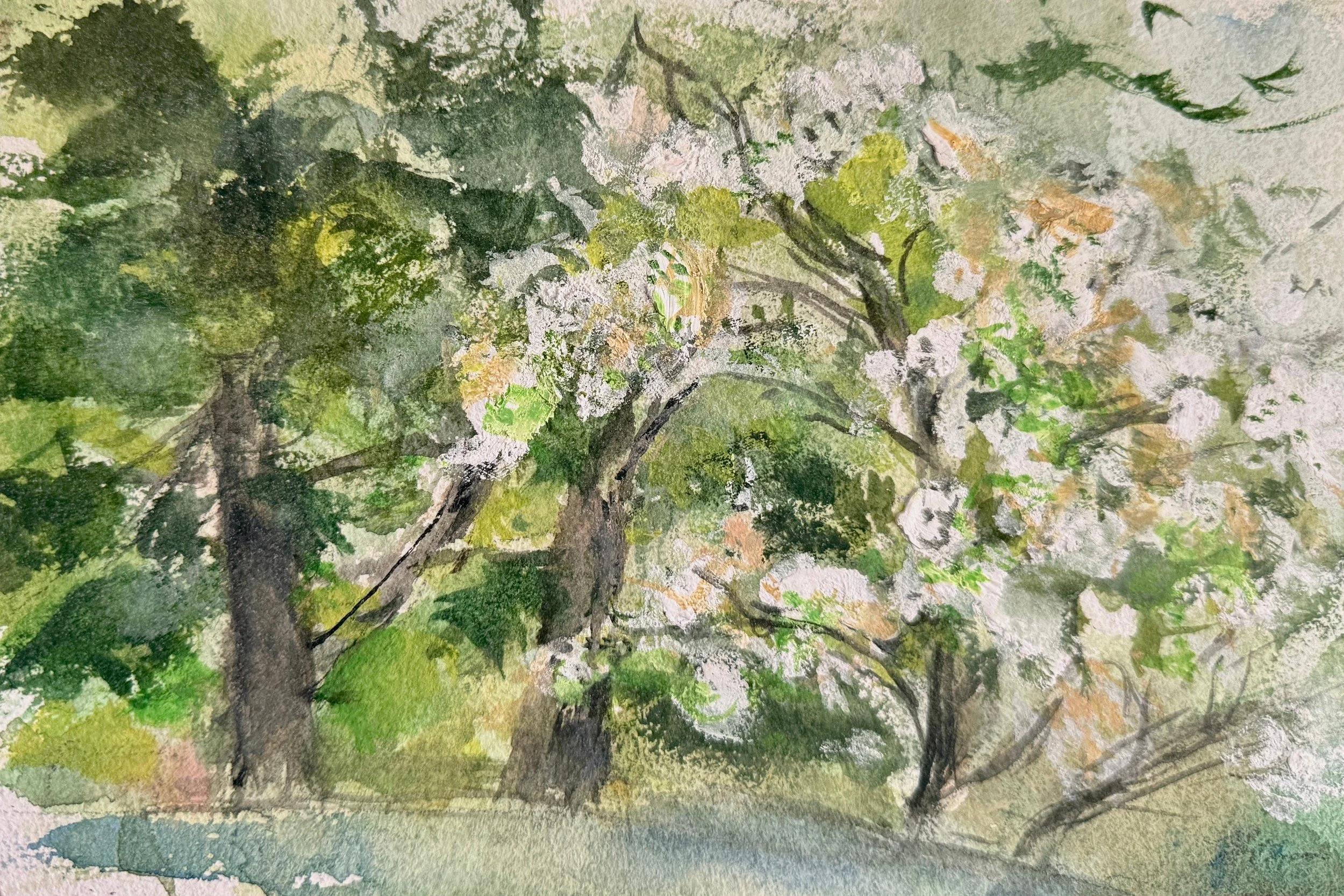 White Blossoms — Watercolor, 6 × 8 in — Sold