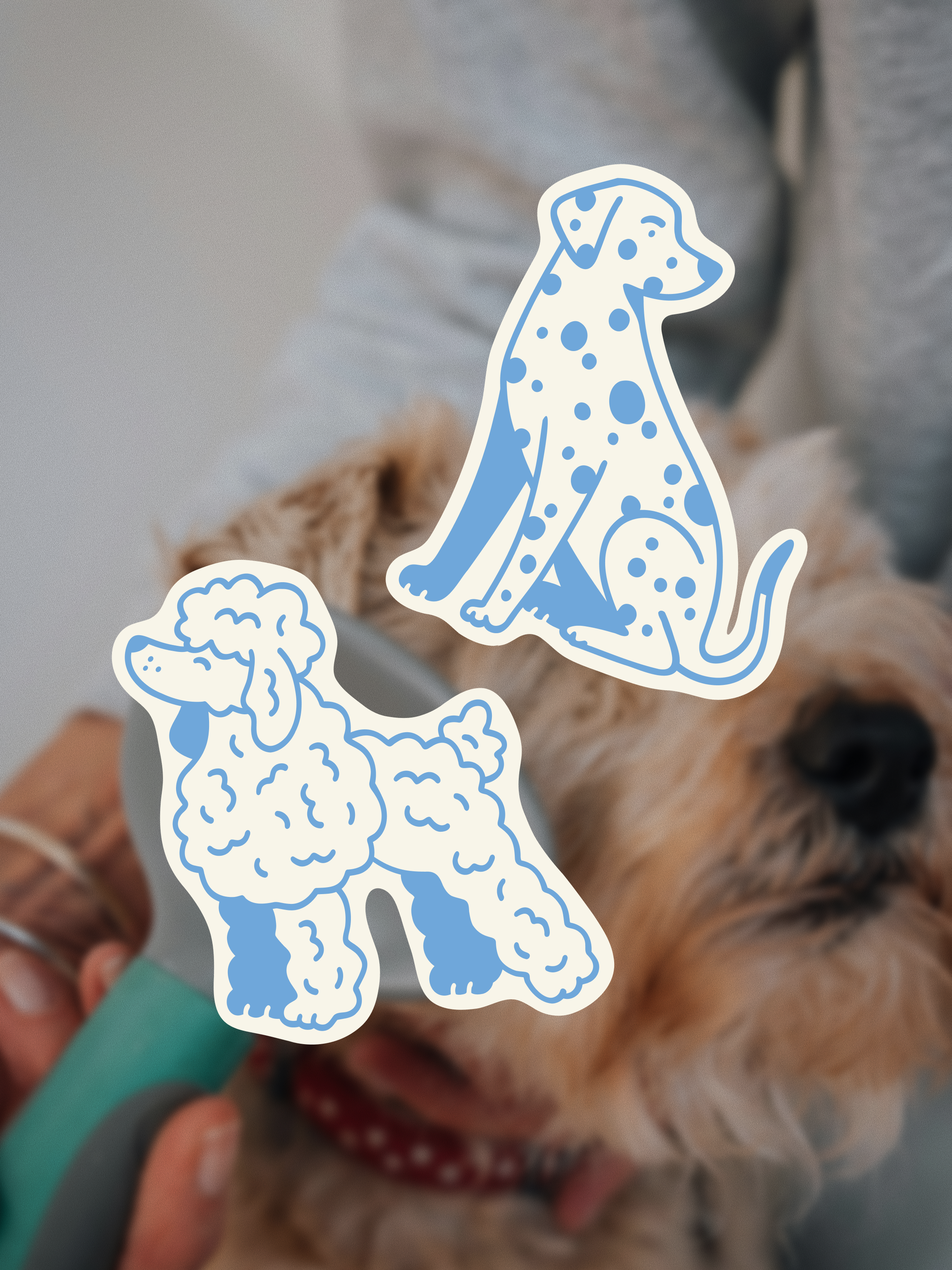 The Fur Lab.png