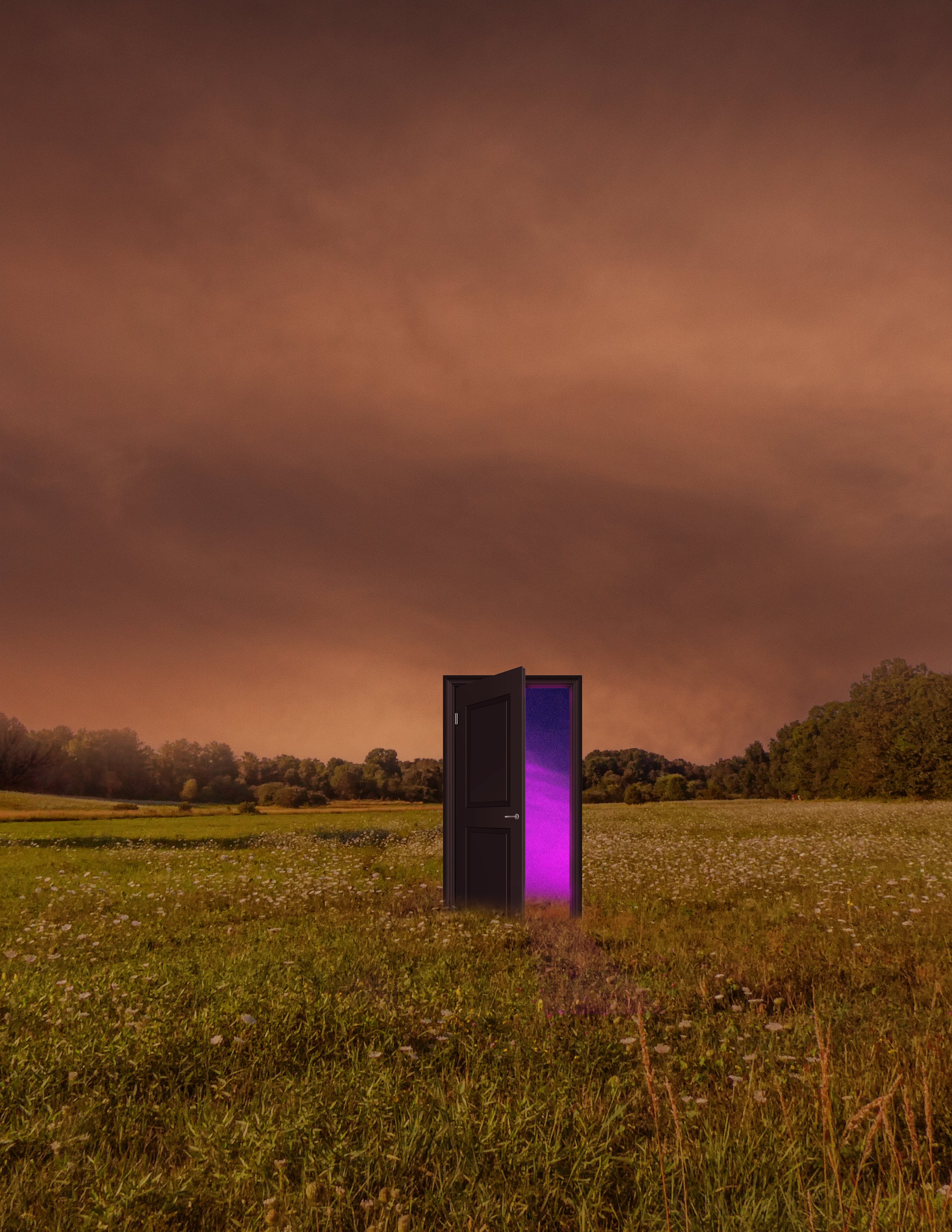Door field.jpg