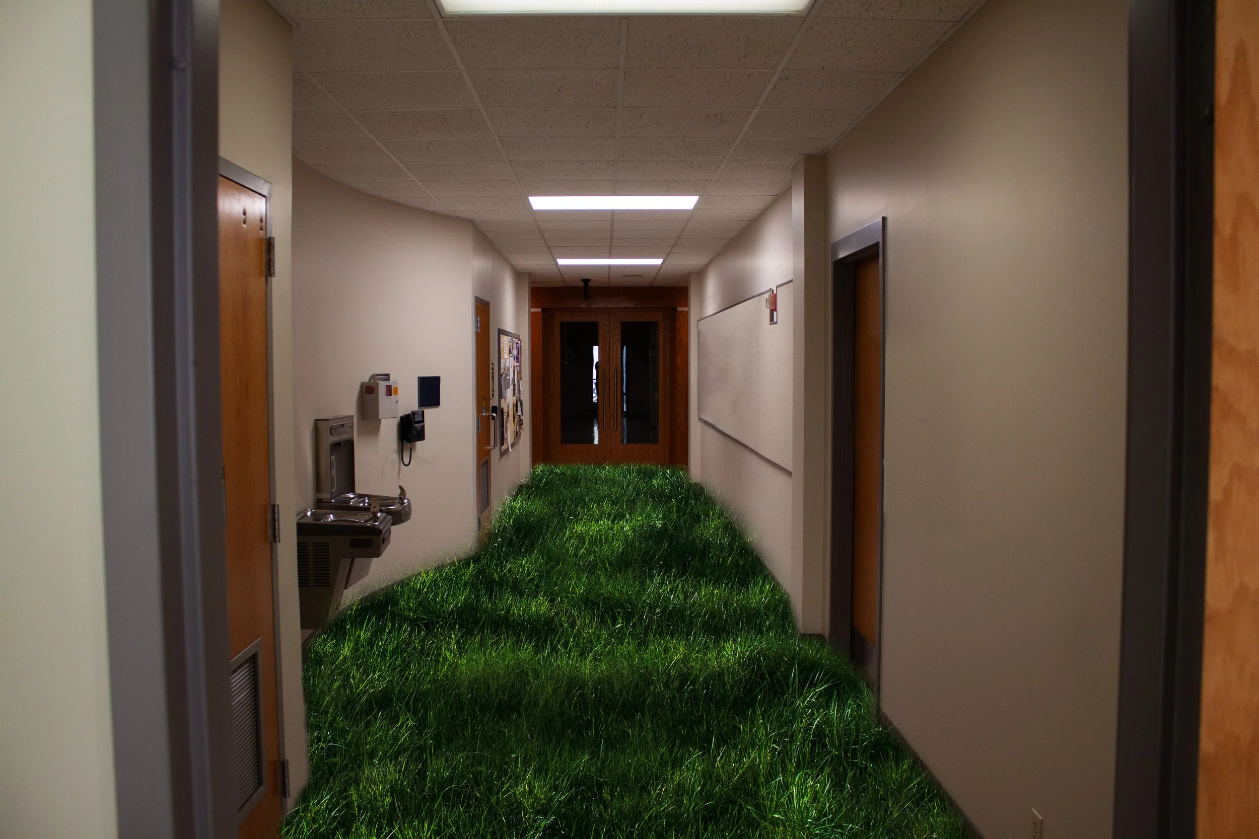 Grass hallway.jpg