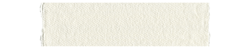 A piece of torn paper with a blank, textured surface.