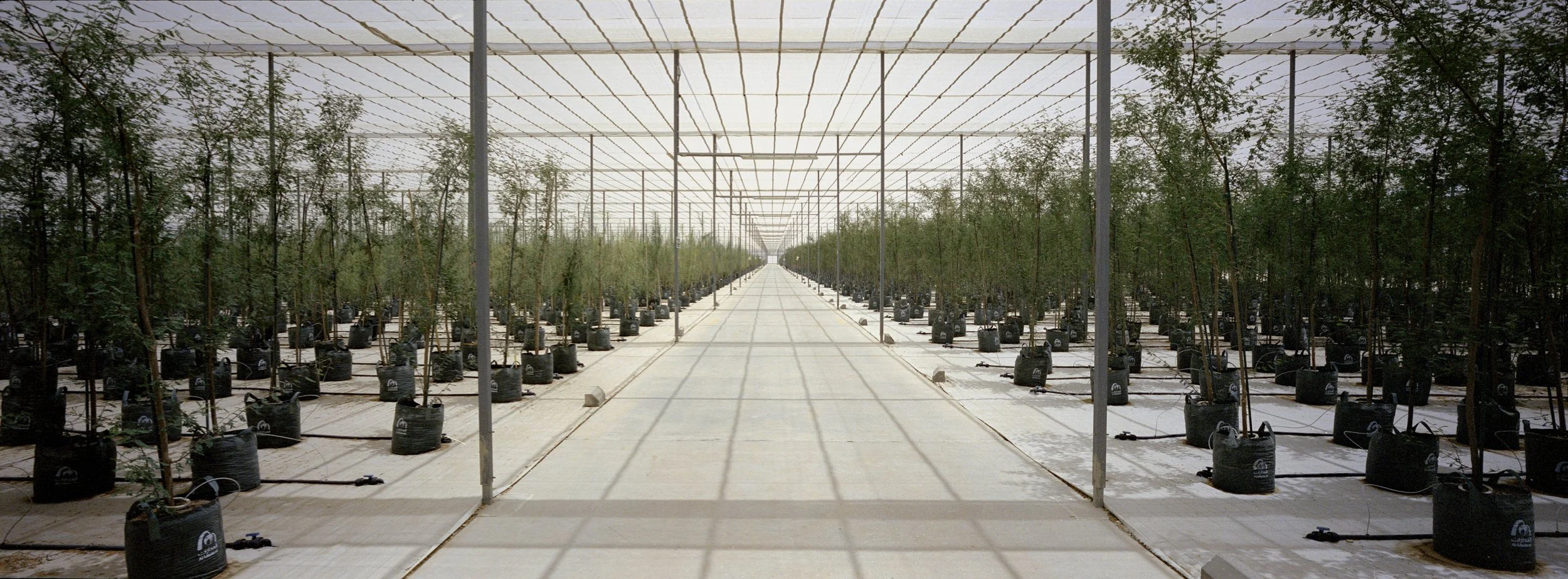 ARH-XPAN-35.jpg