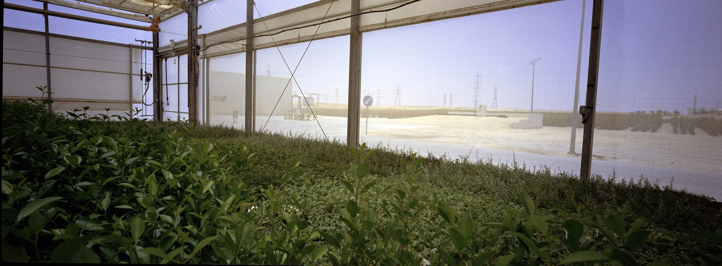 ARH-XPAN-31.jpg