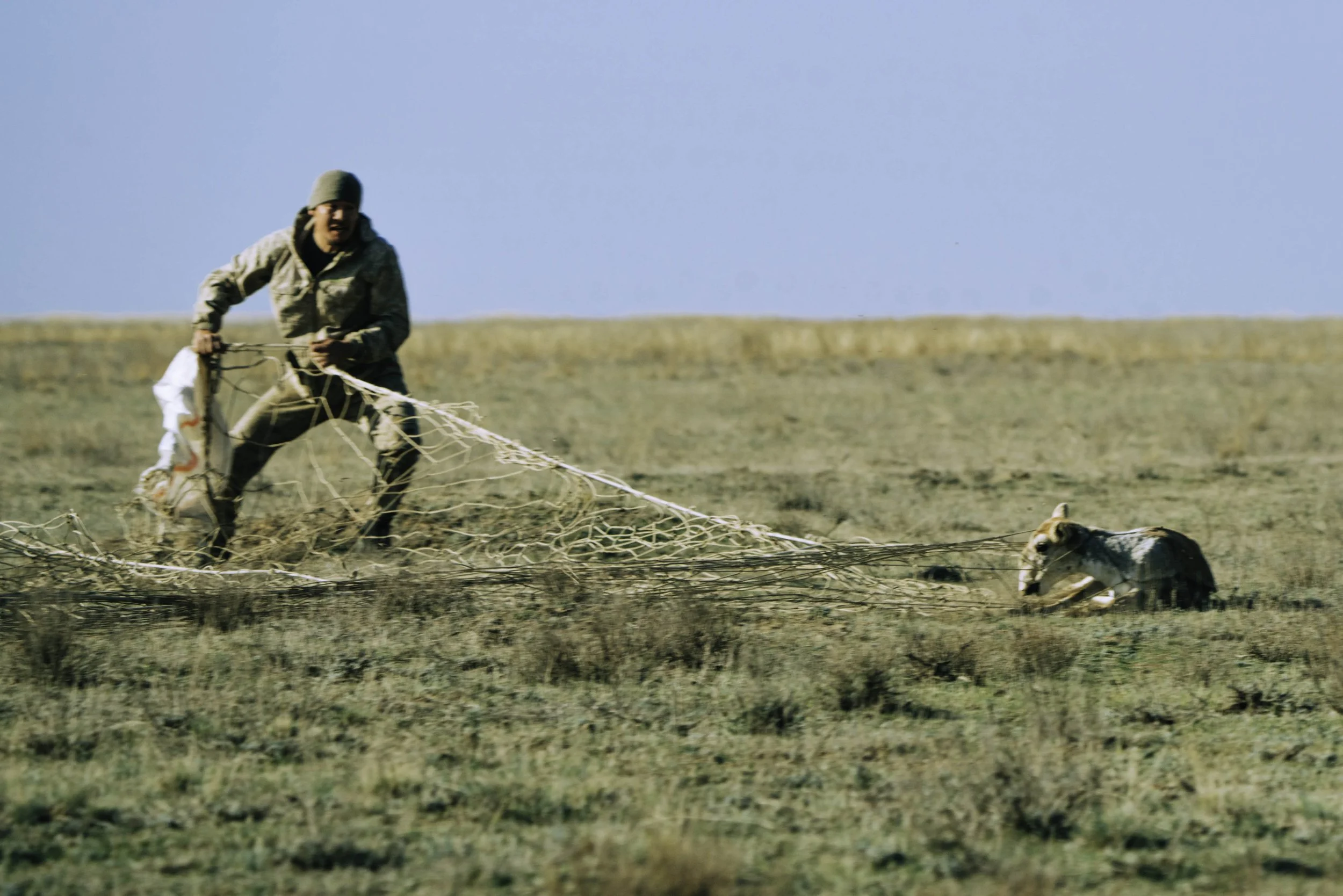 ARH-Kazak-24.jpg