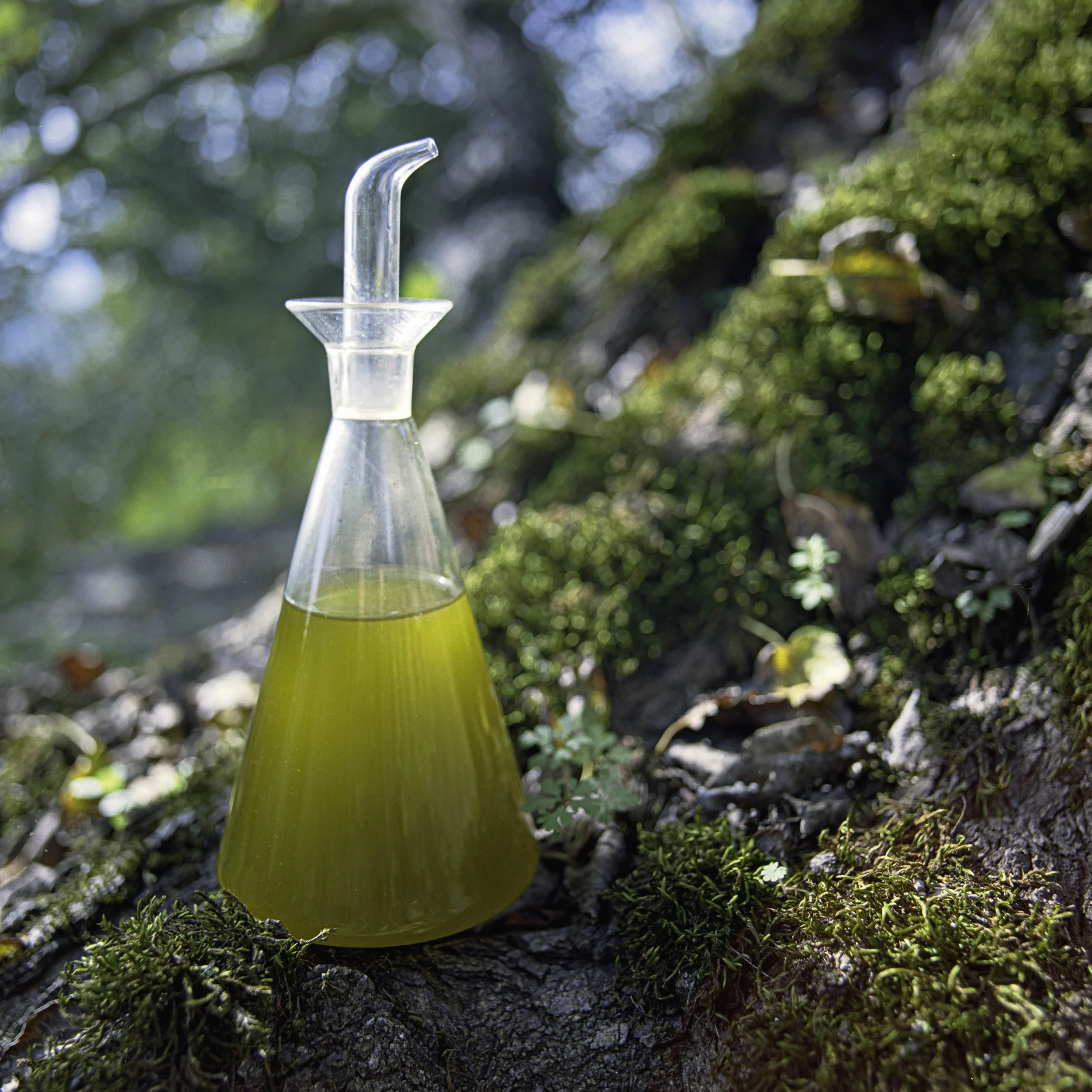 ARH-Olive-38.jpg