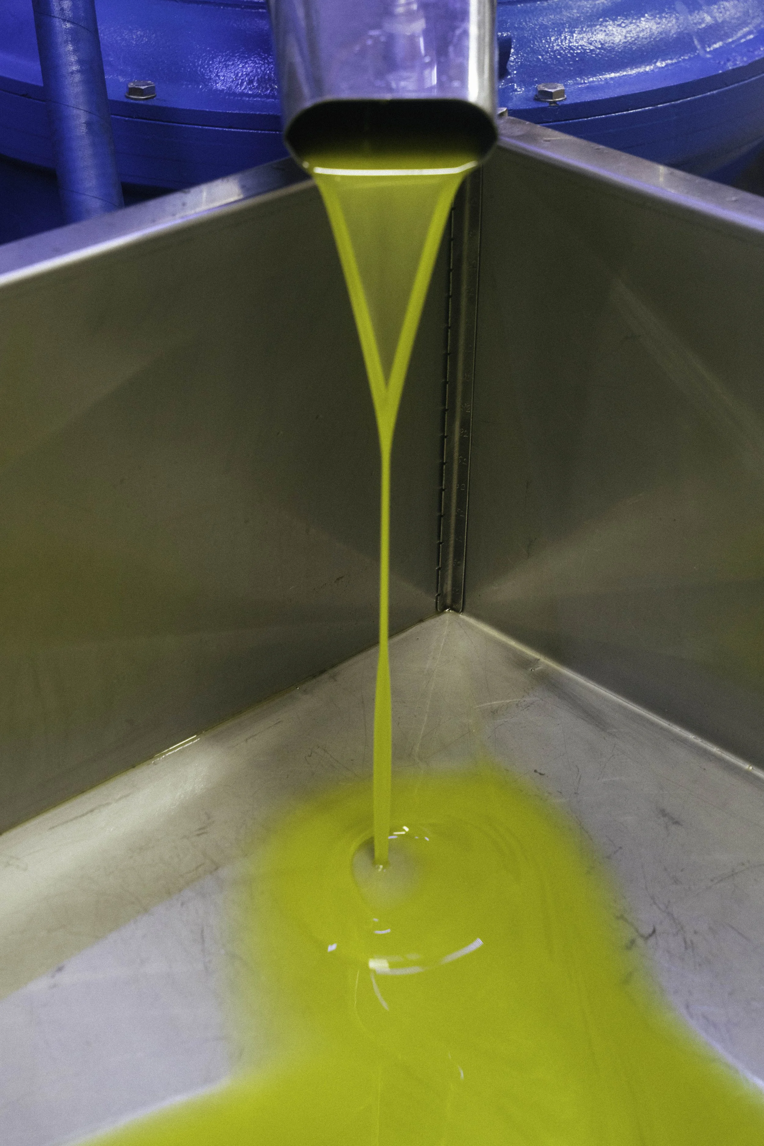 ARH-Olive-36.jpg