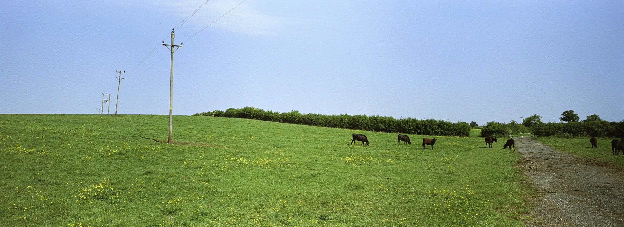 ARH-XPAN-2.jpg