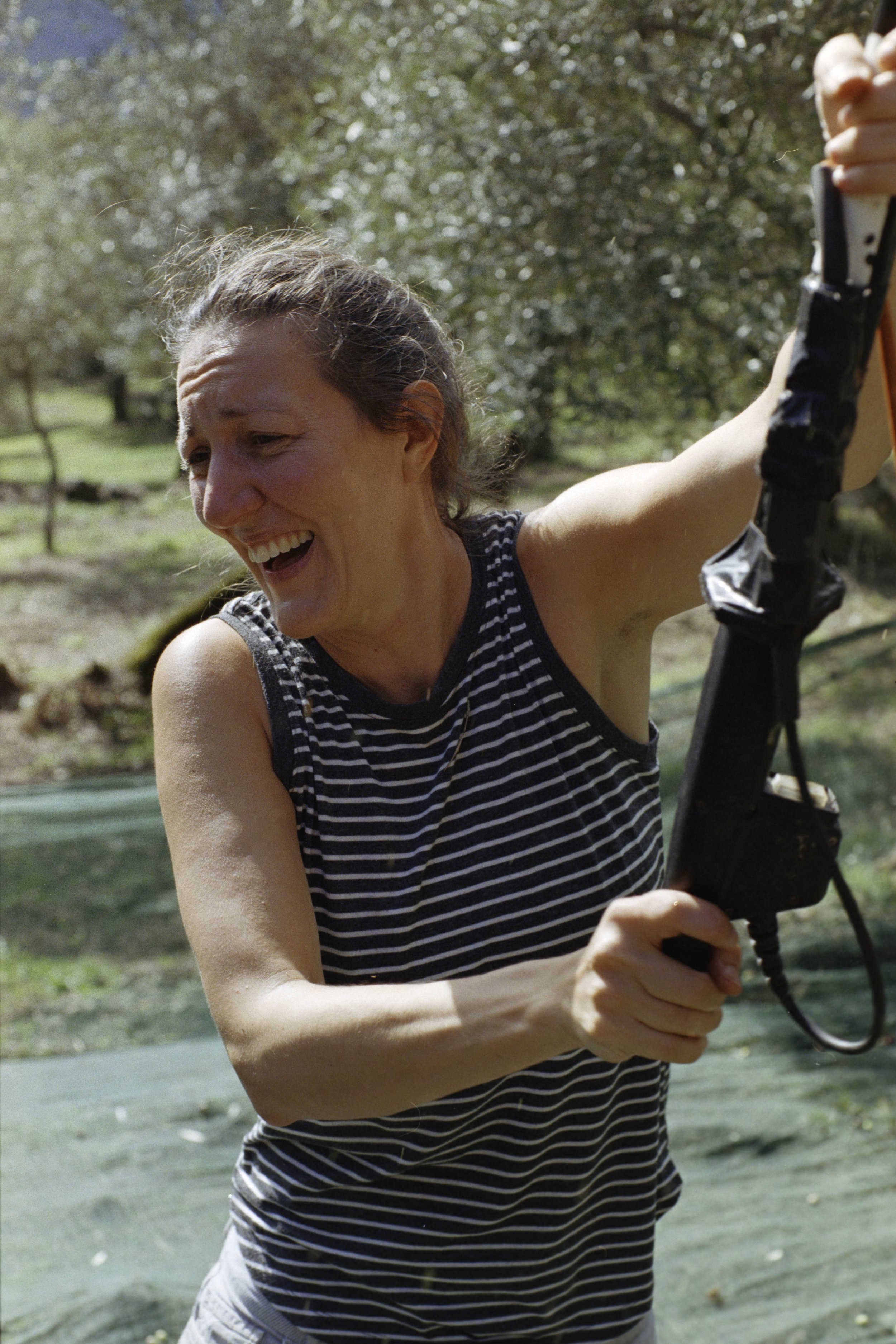 ARH-Olive-10.jpg