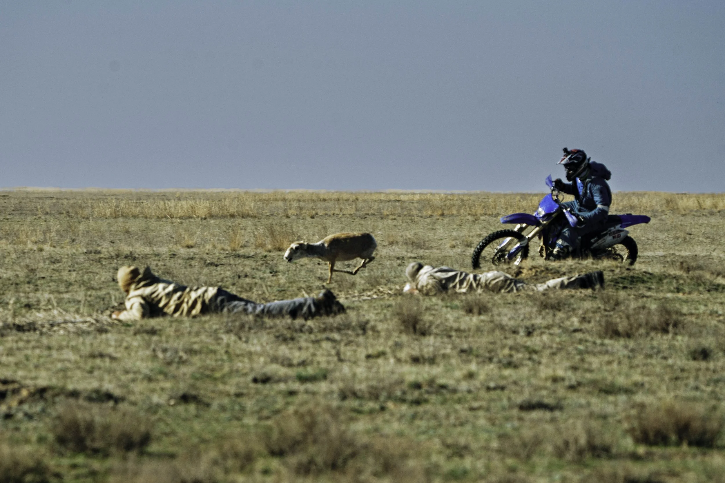 ARH-Kazak-21.jpg