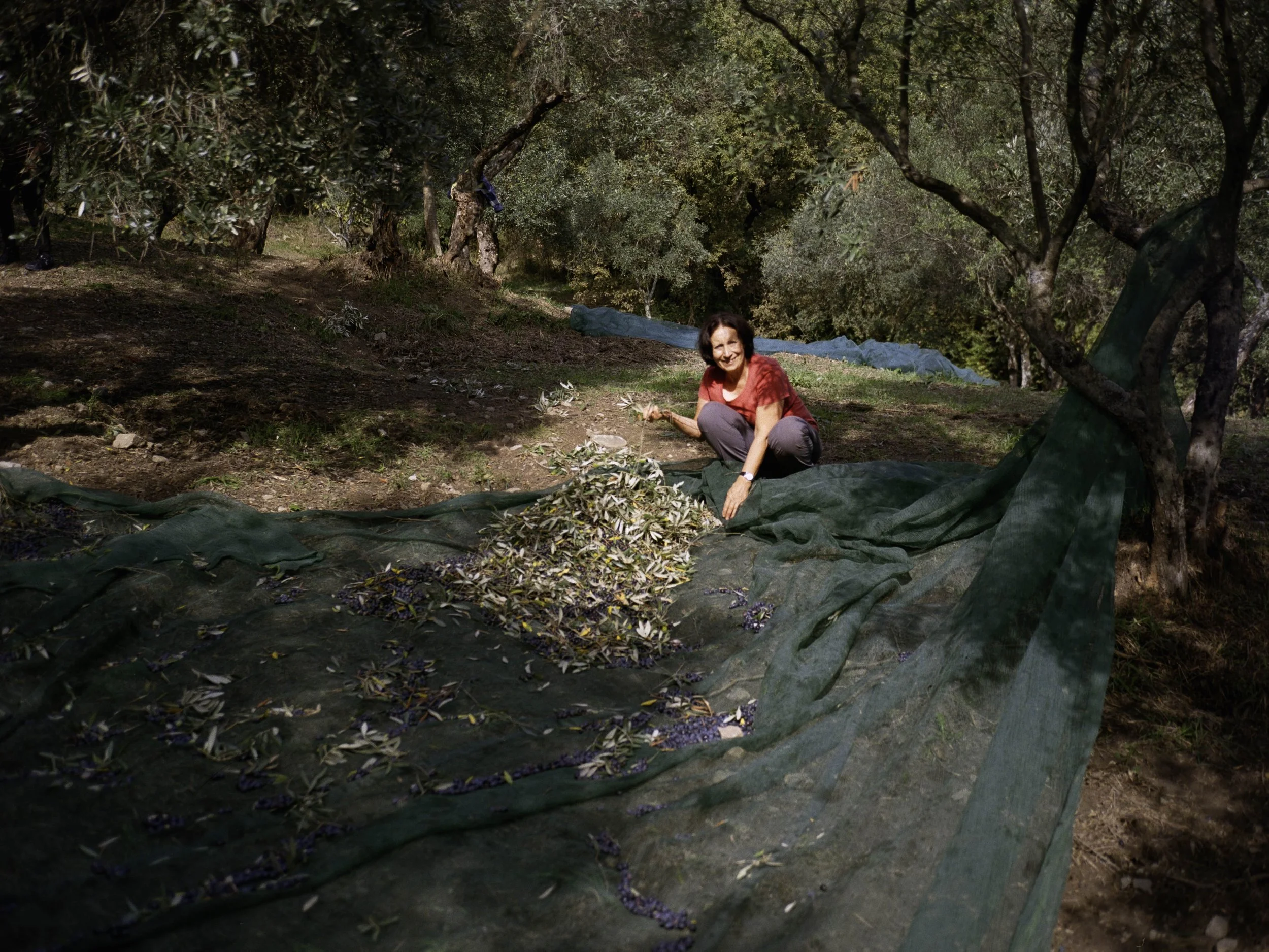 ARH-Olive-22.jpg