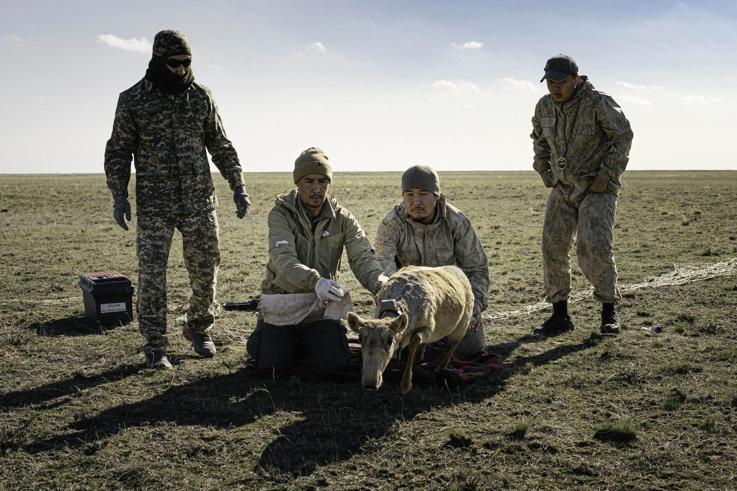 ARH-Kazak-30.jpg