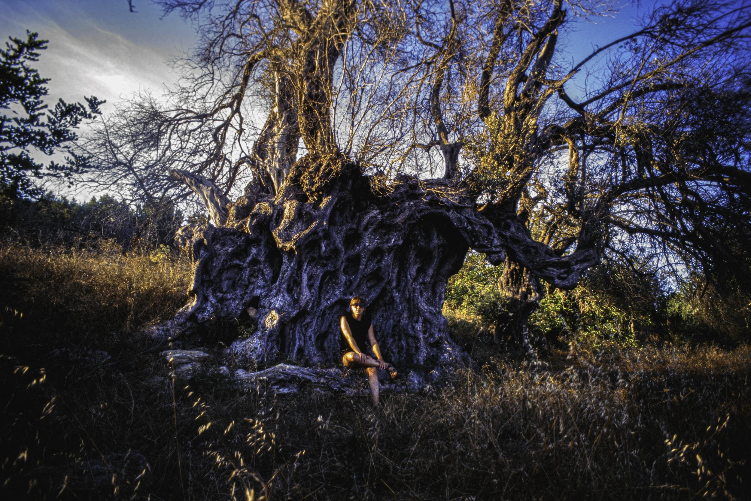 ARH-XPAN-1.jpg