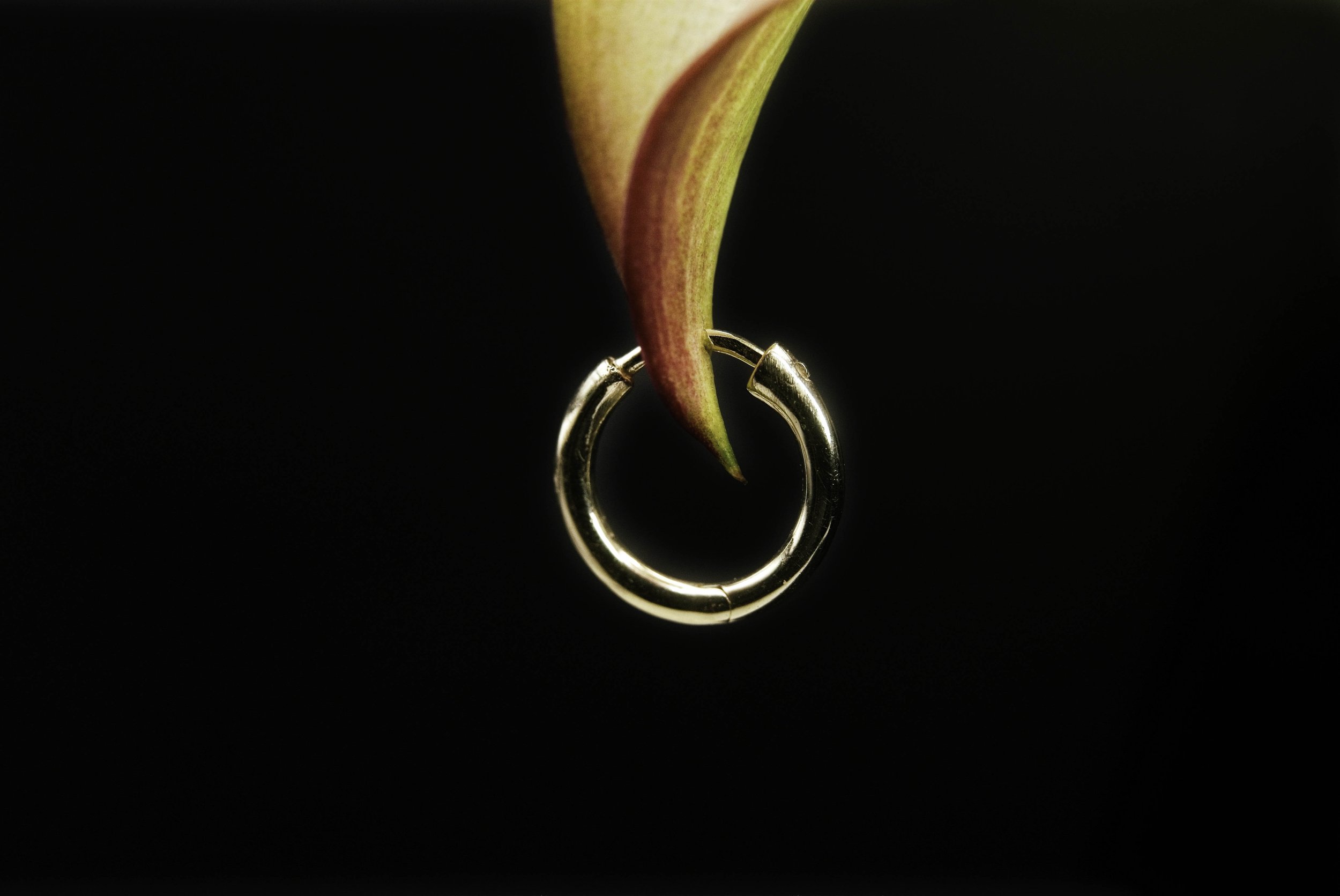 website-12.jpg