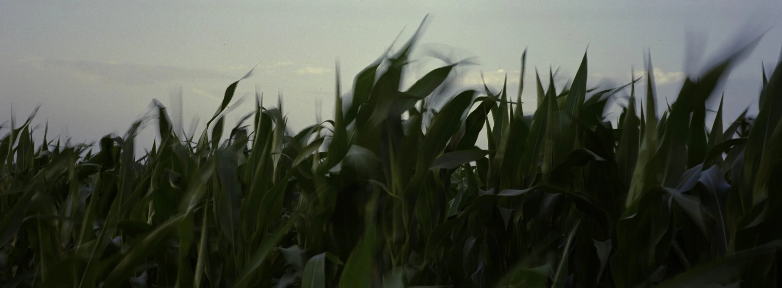 ARH-XPAN-29.jpg