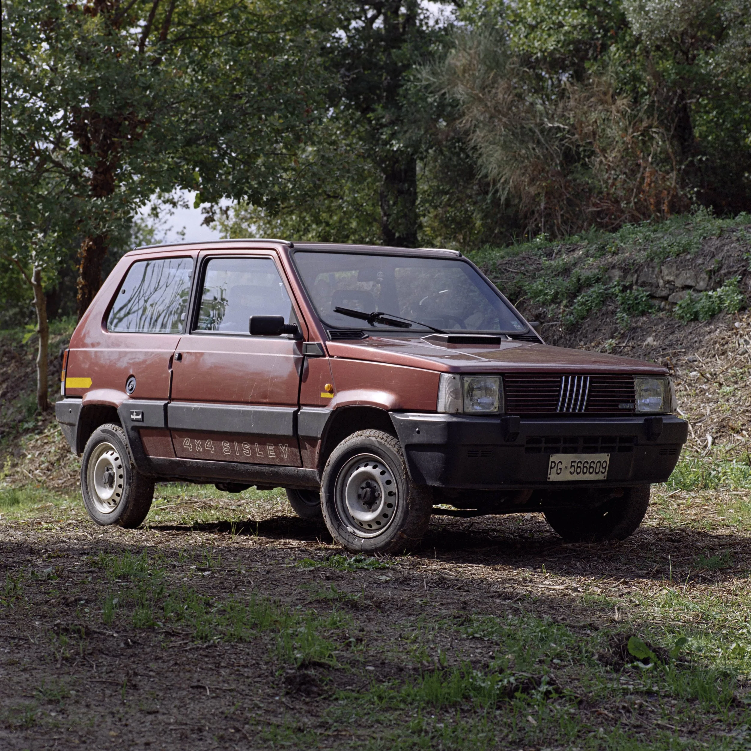 ARH-Olive-29.jpg