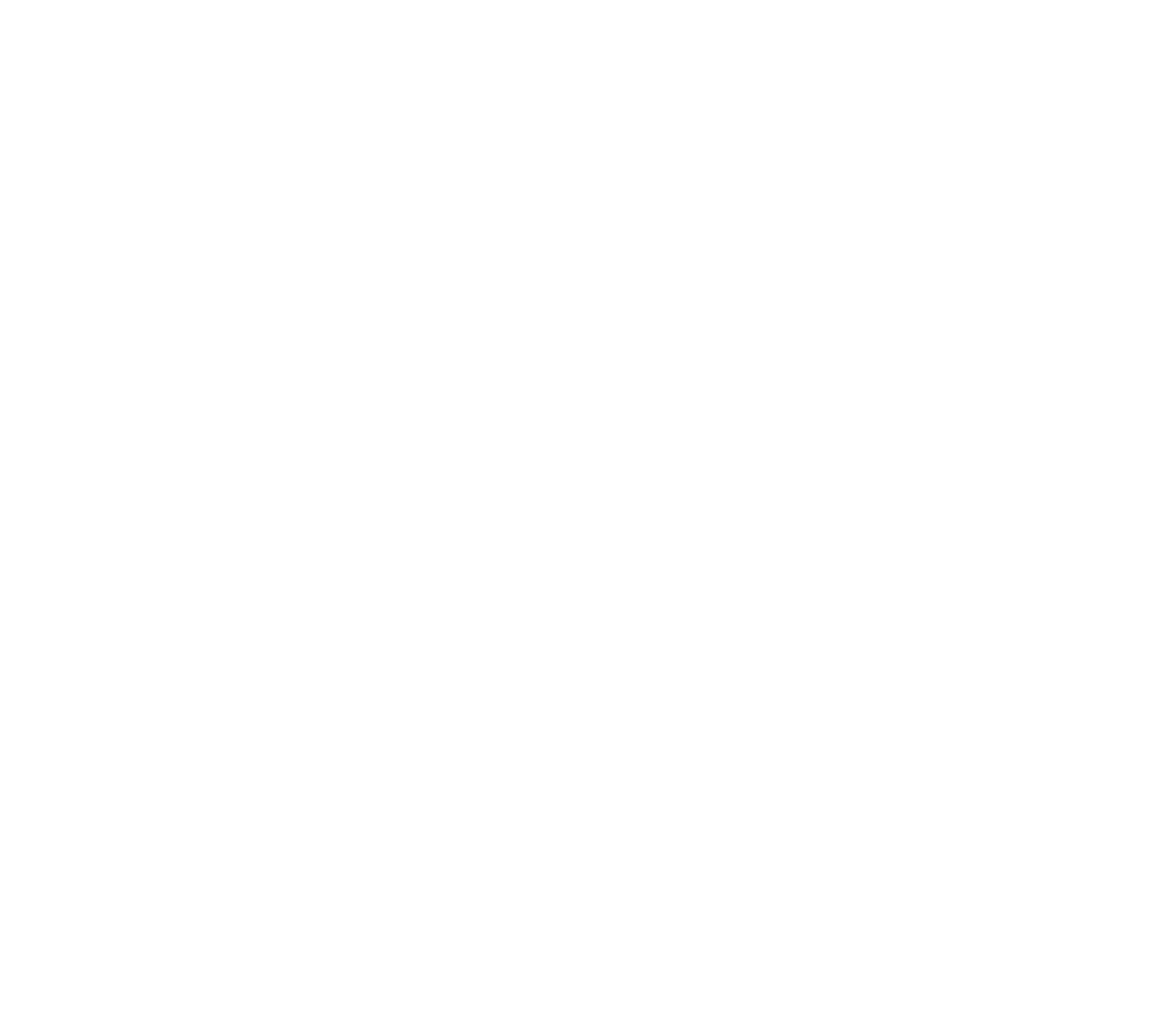 HEIR Raleigh