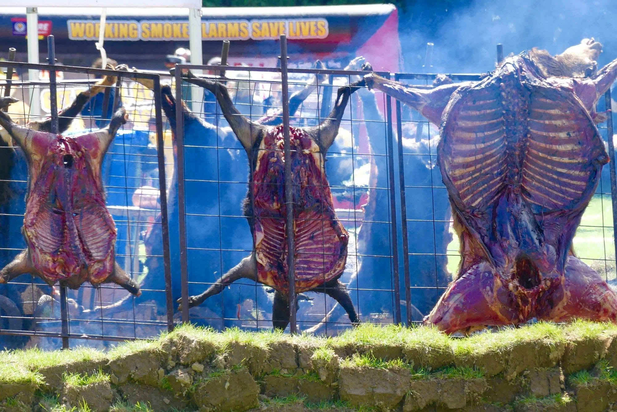 A display of animal carcasses, including a partially skinned animal with exposed ribcage and skull, hanging on a metal fence at an outdoor fair or carnival. In the background, a banner reads 'Working Smoke Alarms Save Lives.'