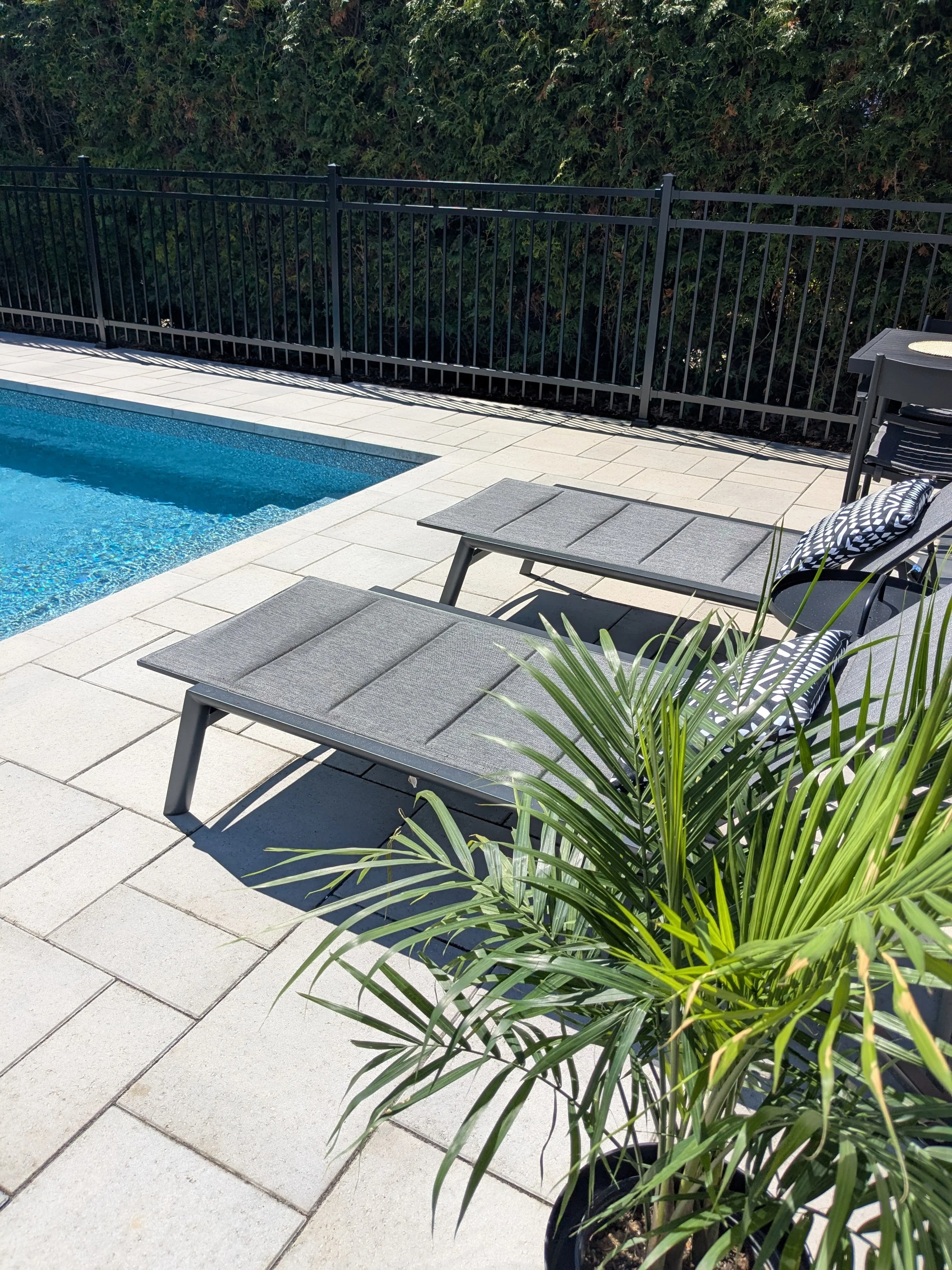 Piscine en plein air avec un tapis de bain, des chaises longues et une plante verte dans un pot. Un clôture noire en métal longe une haie touffue en arrière-plan.