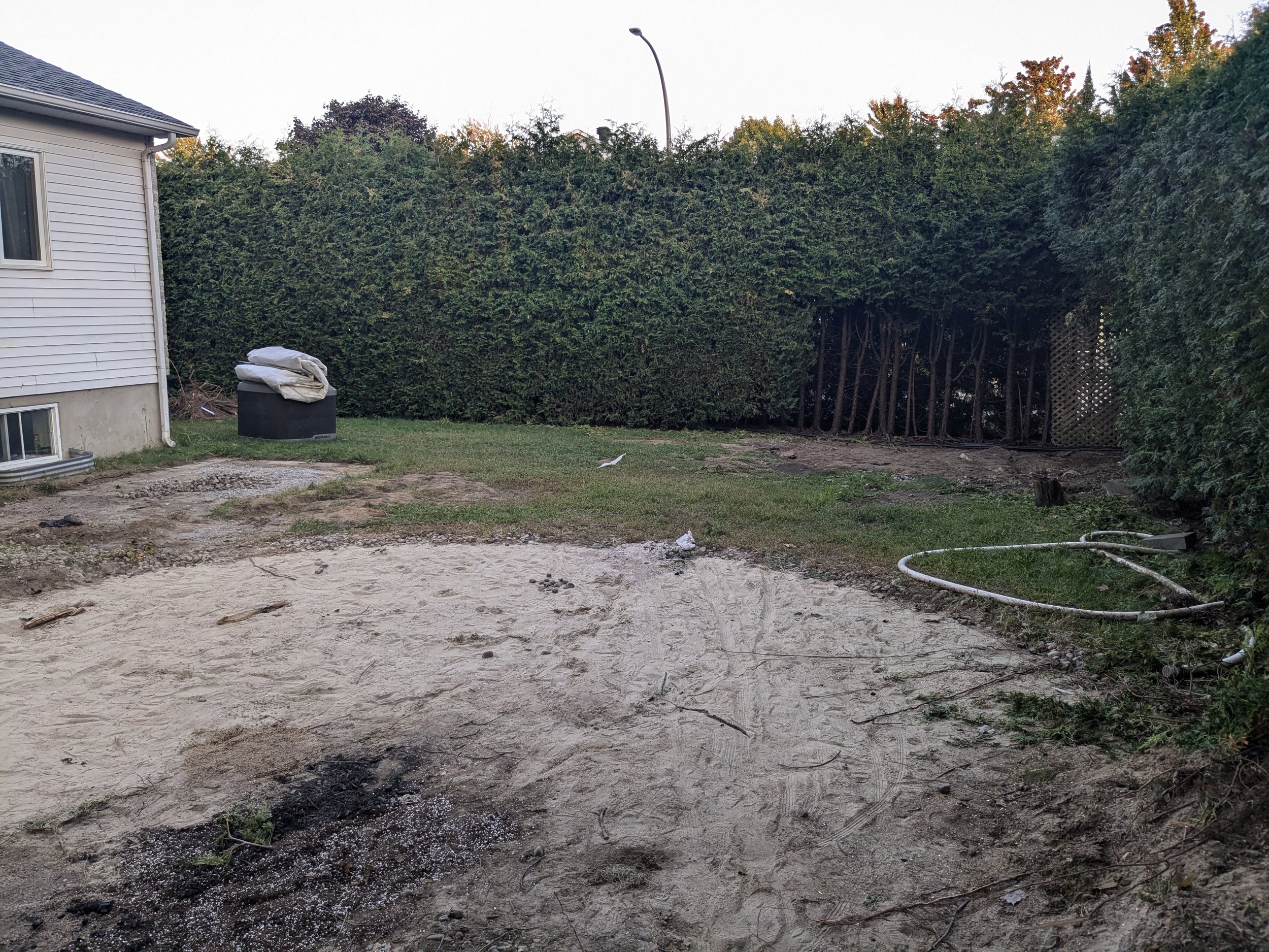 Un jardin résidentiel avec une clôture en haie dense, une maison à gauche, une pelouse, du terrain en sable ou terre, un tuyau d'arrosage et une poubelle recouverte d'une bâche. Le ciel est dégagé, il fait probablement beau.
