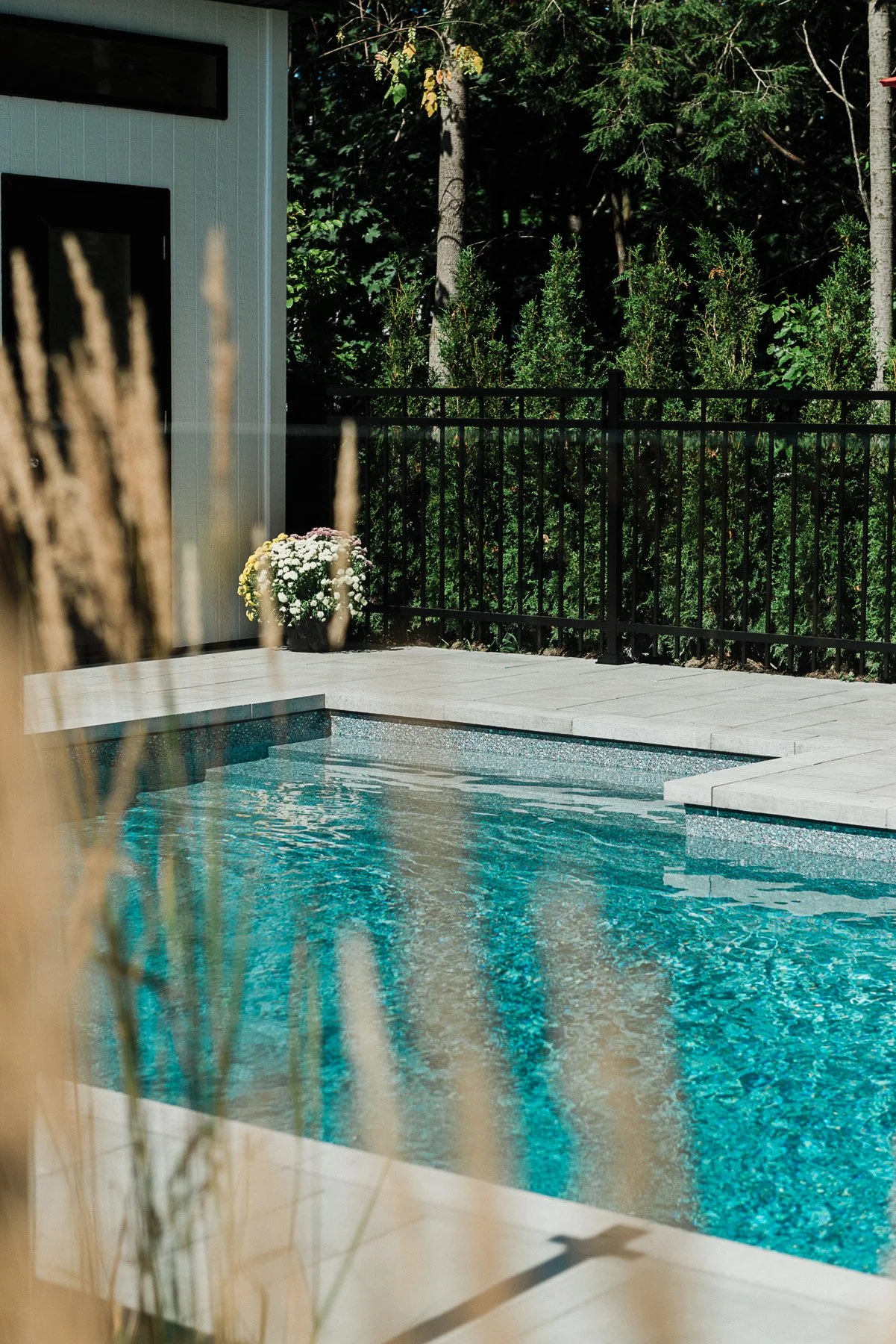 Piscine extérieure entourée de pierre, avec un fond de forêt dense et une barrière noire. Une plante avec des fleurs blanches est posée dans un pot à côté du mur de la maison.