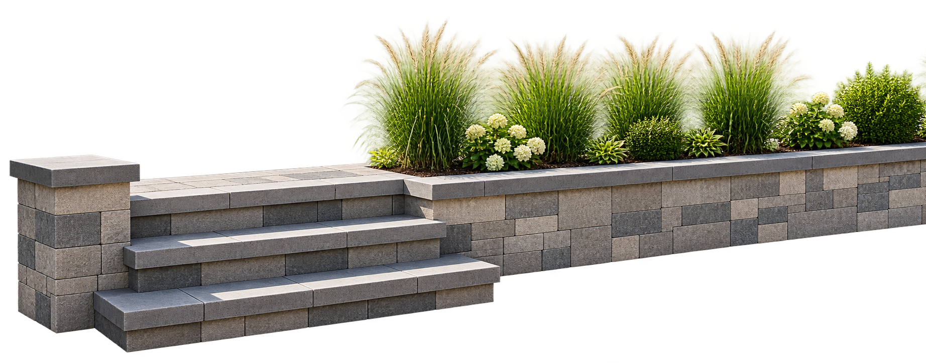 Jardin commun avec marches en pierre, plantes ornementales et marguerites blanches