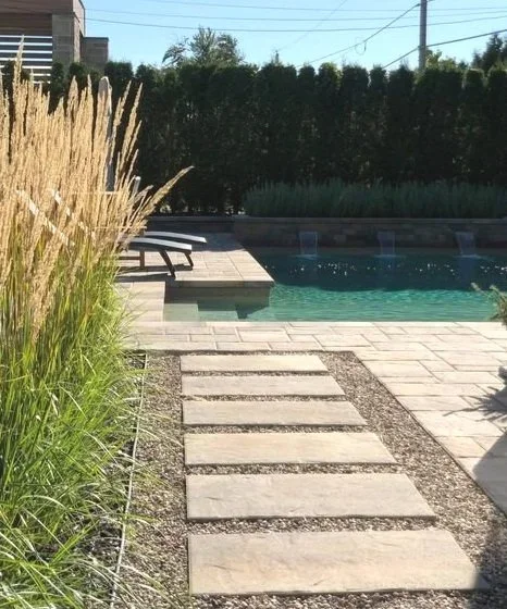 Une piscine extérieure avec un chemin en pavés menant à la piscine, des plantes ornent le côté gauche, et un hedge dense en arrière-plan.