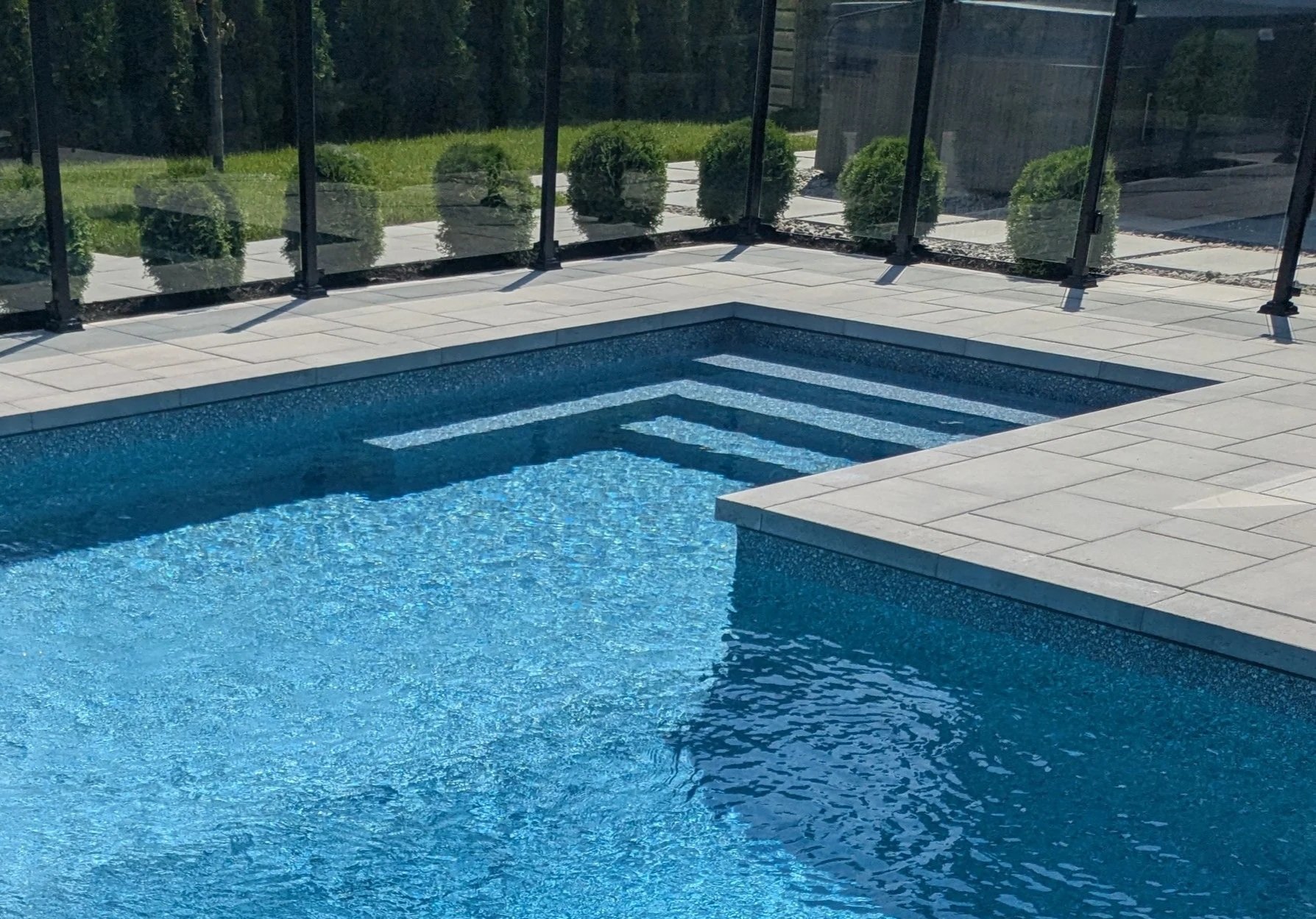 Piscine avec escalier intégré en bordure, entourée d'une terrasse en pierre, clôture en verre avec plantes shrub dans le jardin.