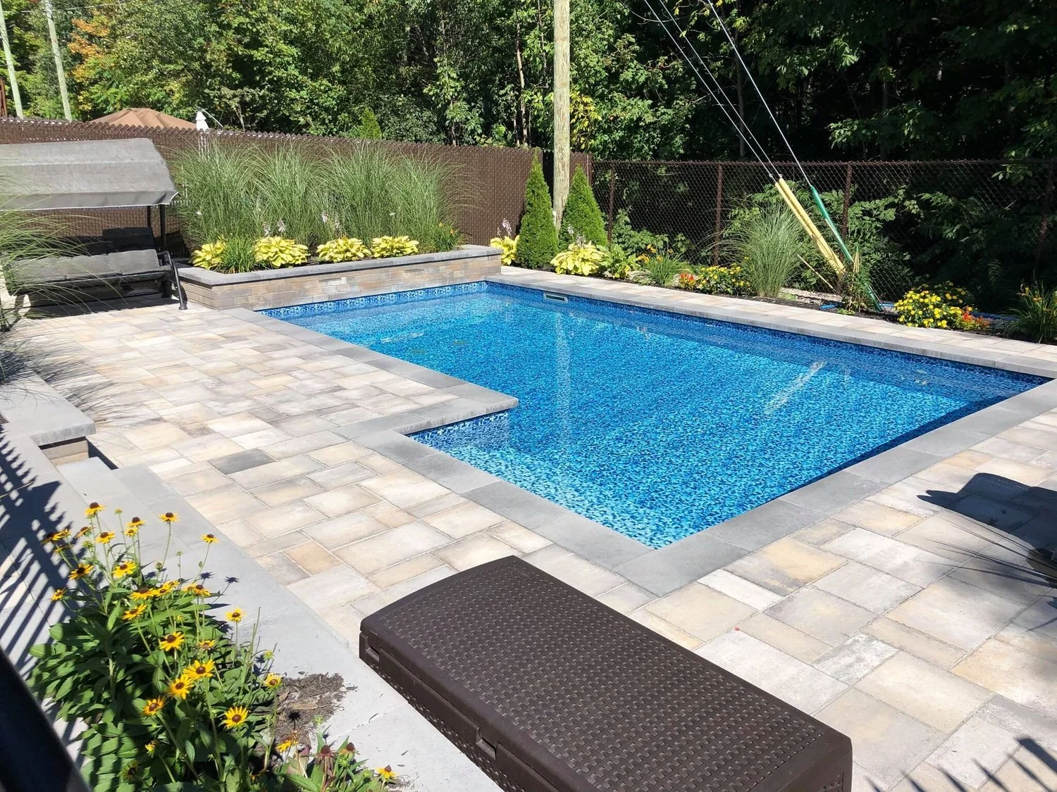 Piscine extérieure ensoleillée entourée de dalles en pierre, avec des chaises longues, des plantes ornementales, une clôture en grillage, et un fond de végétation dense. 