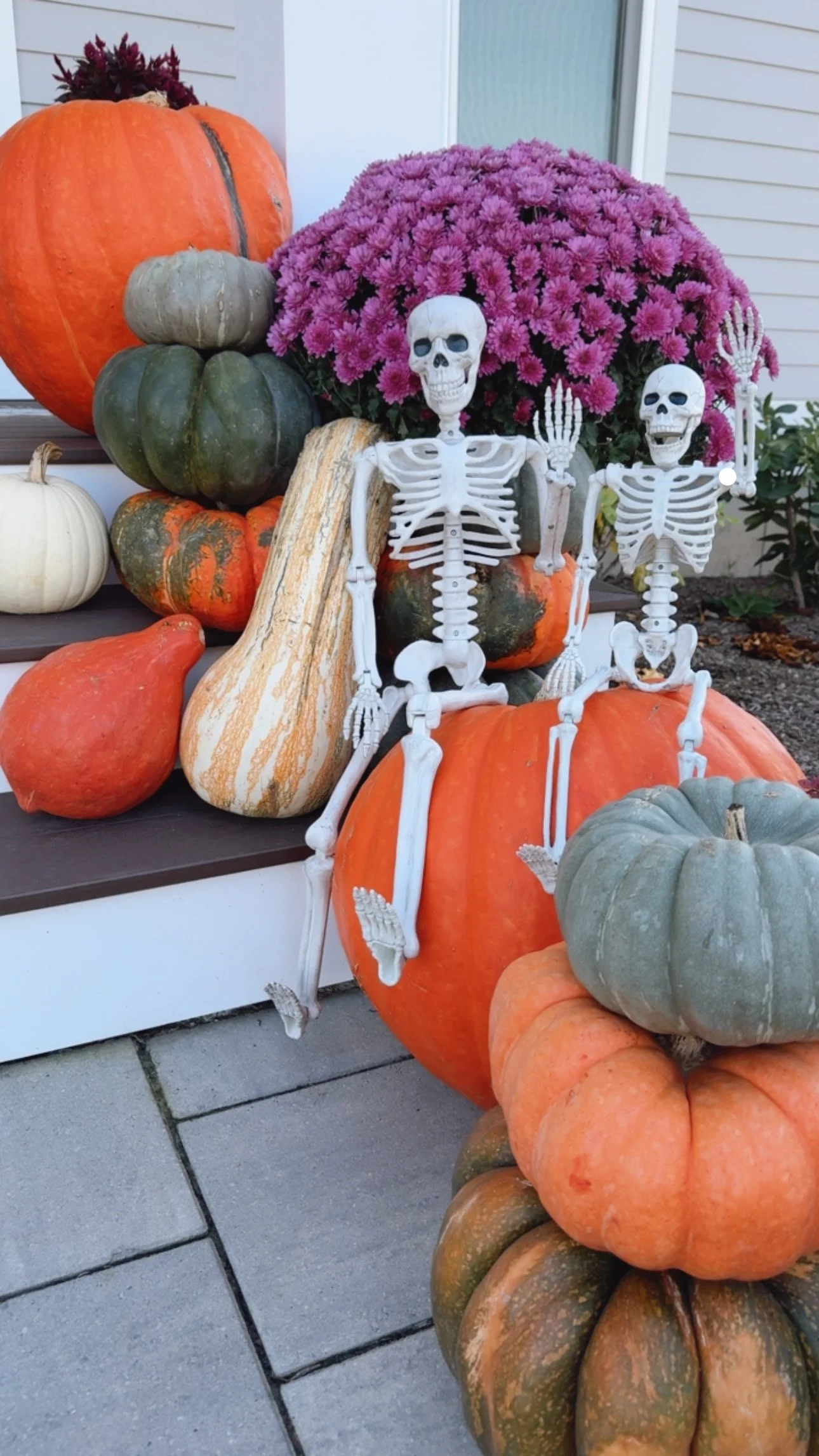 Decorative pumpkins and gourds arranged outdoors with two small skeleton figures among pink chrysanthemums and other plants.