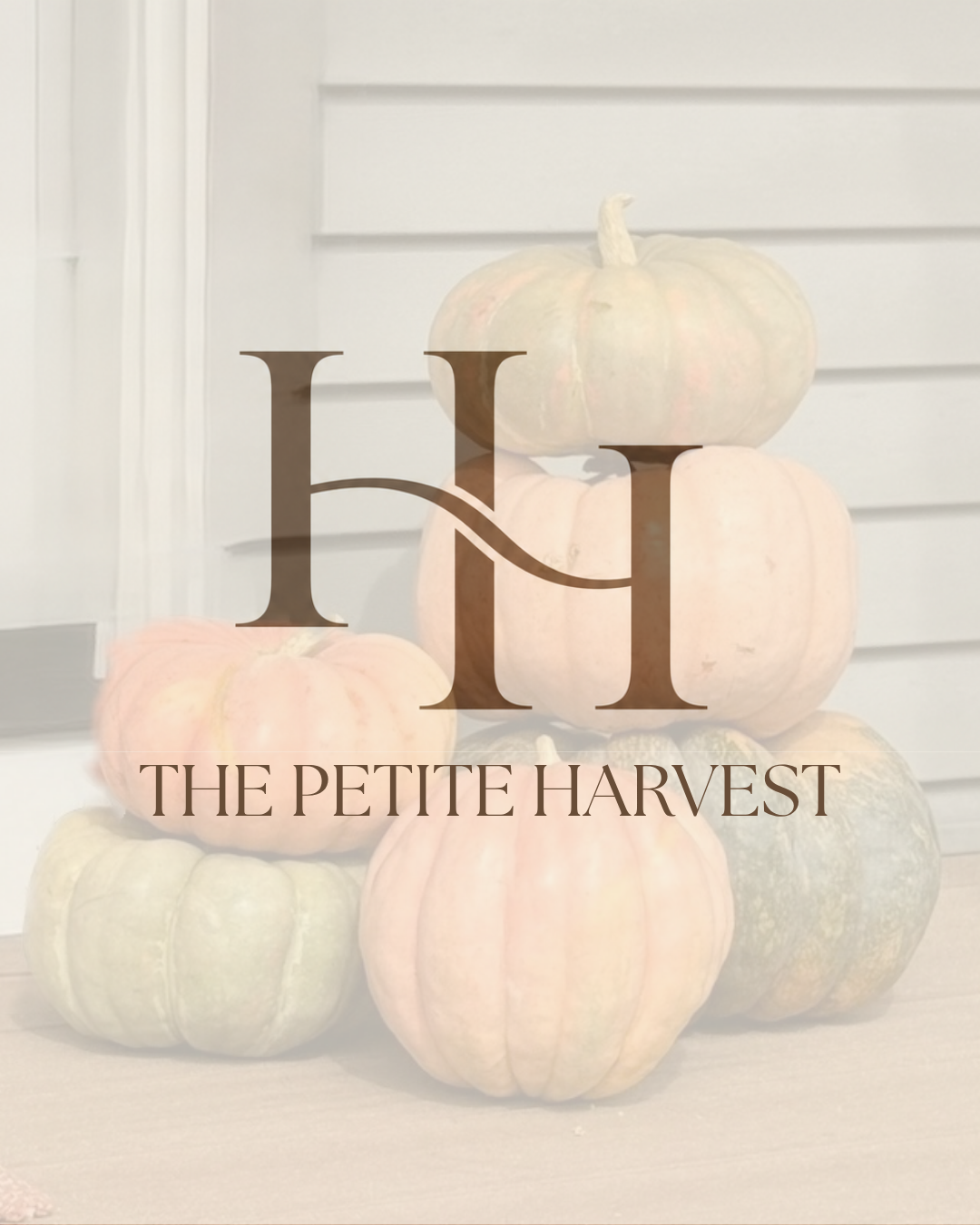 Harvest Haus Packages (16).png