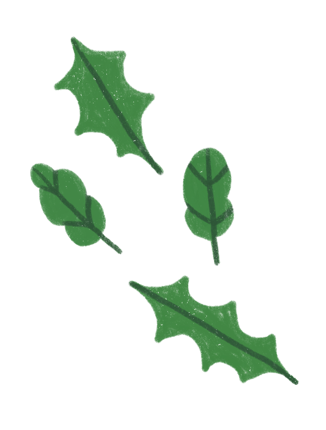Illustration of green holly leaves and berries on a branch.