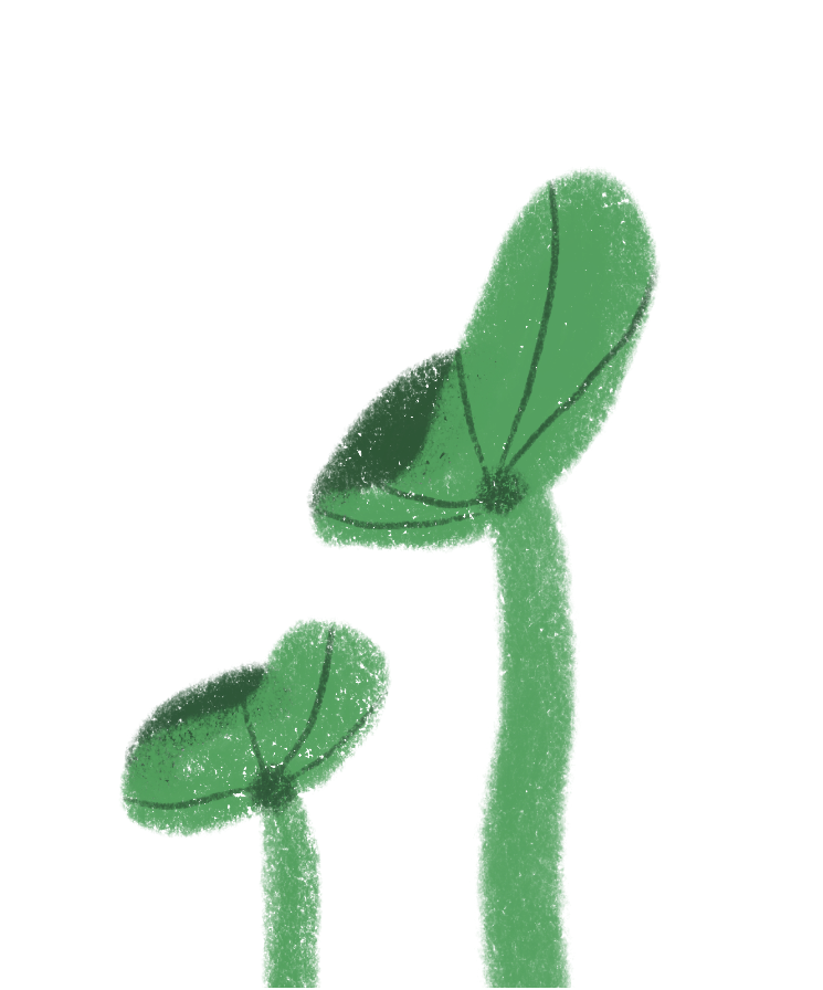 Two green mushrooms with dark lines on their caps, growing on a green stalk.