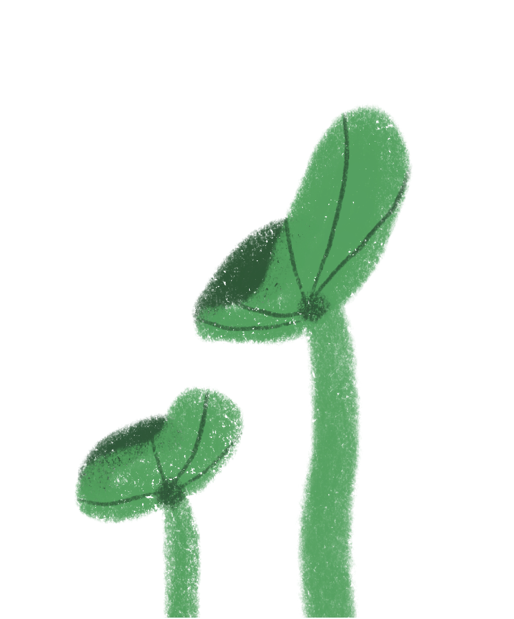 Illustration of two green mushrooms with rounded caps, and long, slim stems.