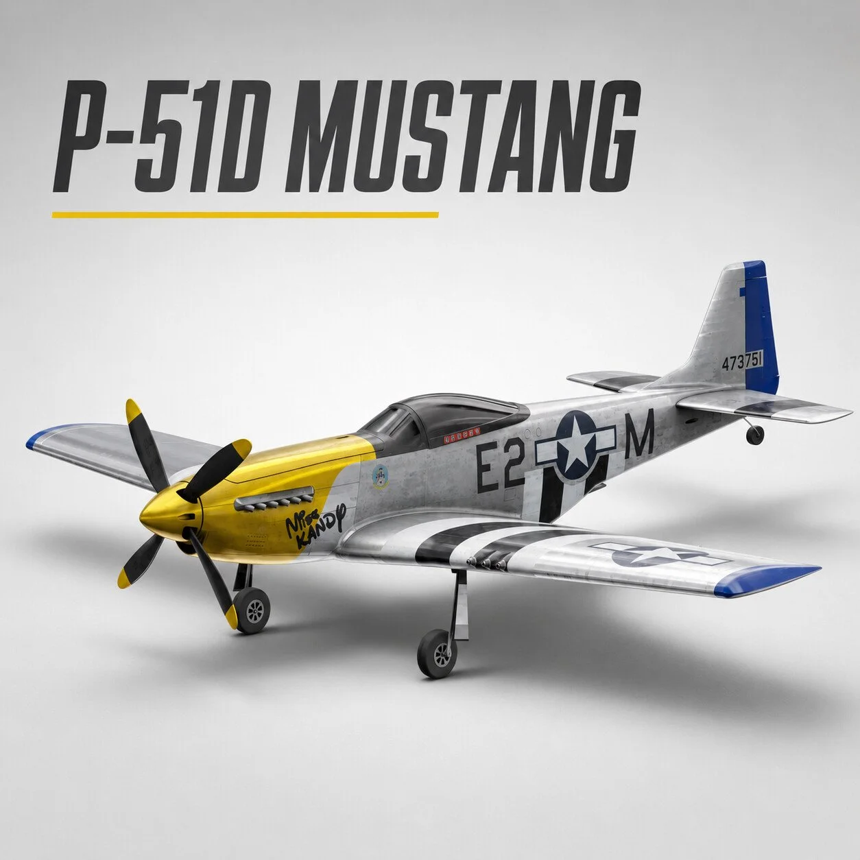 P51.jpg