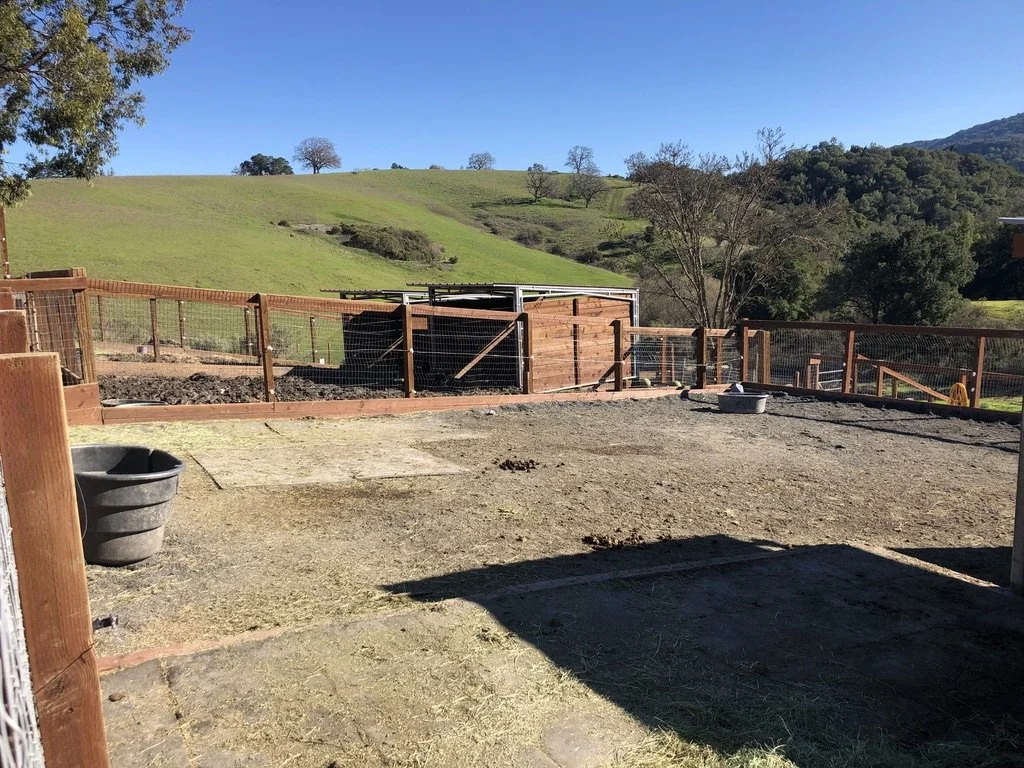 Private Paddock