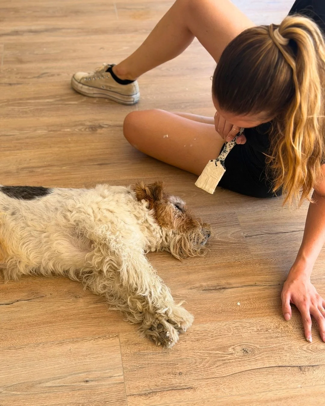 Les travaux avancent&hellip; toujours sous l&rsquo;&oelig;il attentif de notre mascotte &agrave; 4 pattes 🐾🤎

Et puisqu&rsquo;elle valide d&eacute;j&agrave; les lieux, on en profite pour vous glisser une petite info : notre espace coffee shop sera 