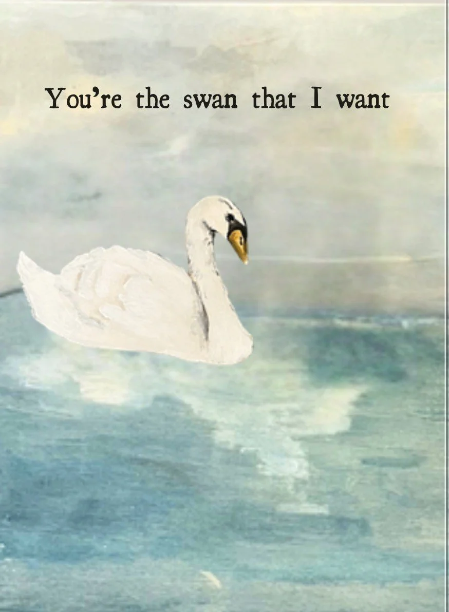 The swan that I want card