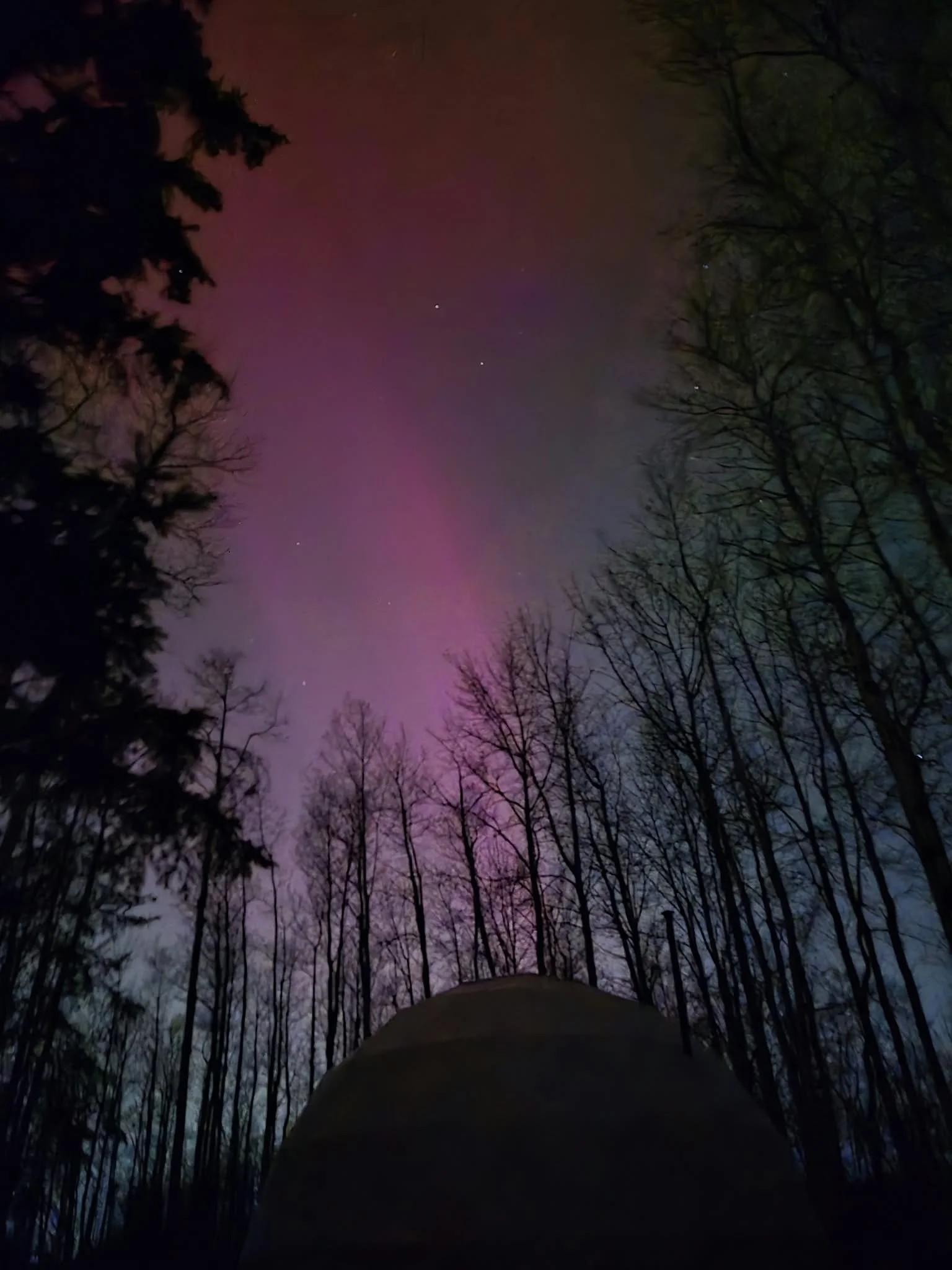 Night sky with visible stars and northern lights while silhouette of trees surrounds the view.