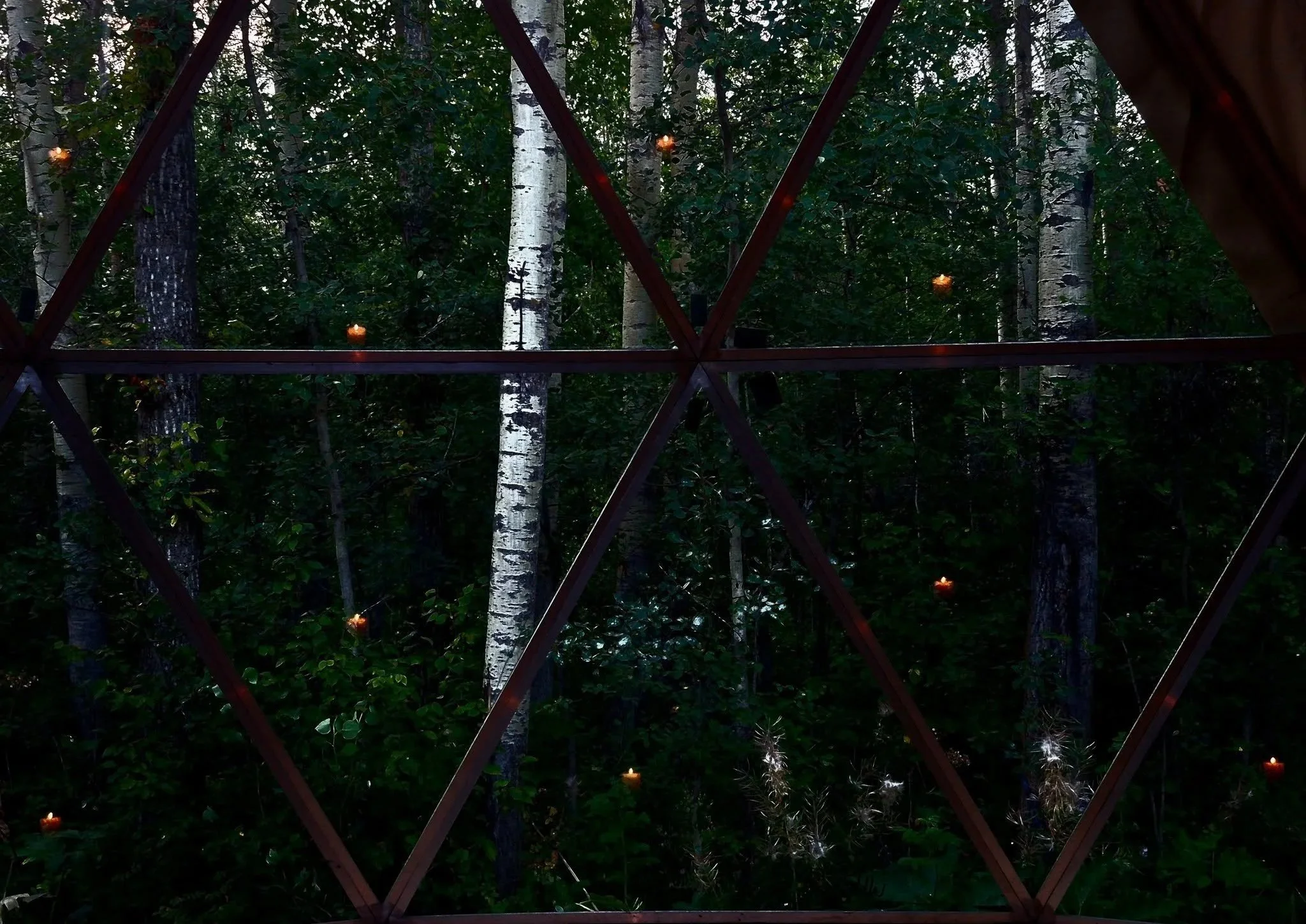 A view through a geodesic dome structure, showing a dense forest of tall, white-barked birch trees with green foliage, along with small lit candles placed on the surface of the dome.