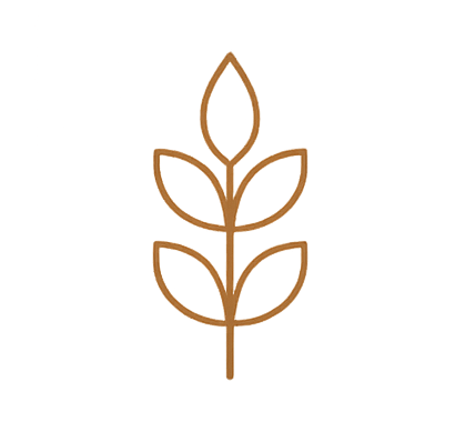 A simple line drawing of a plant with five leaves, arranged symmetrically on a stem, in a minimalist style.