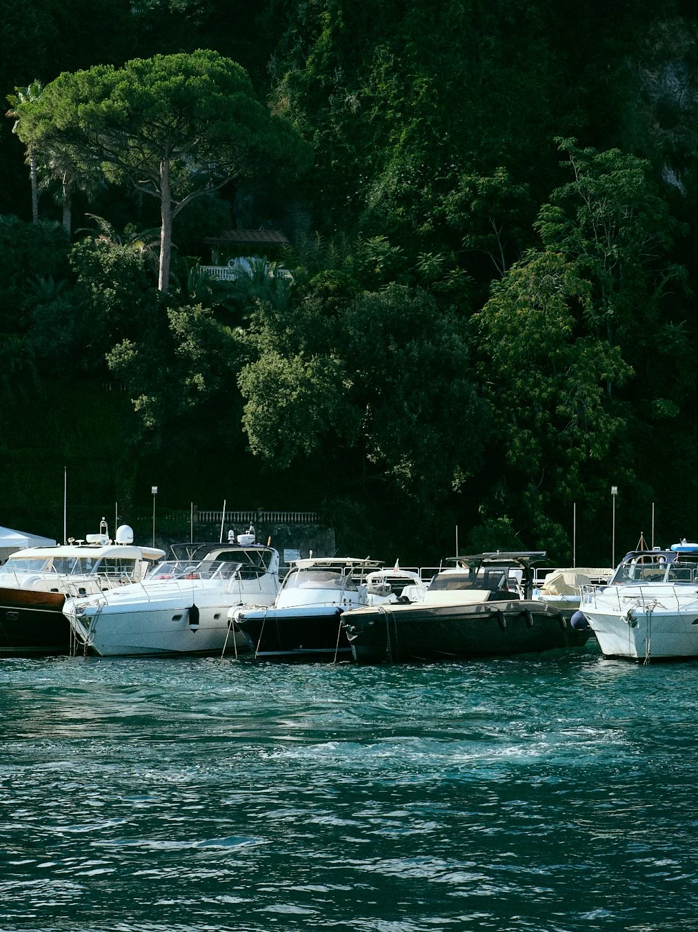 Several boats docked in a marina with a lush, green hillside with trees and a small house in the background.